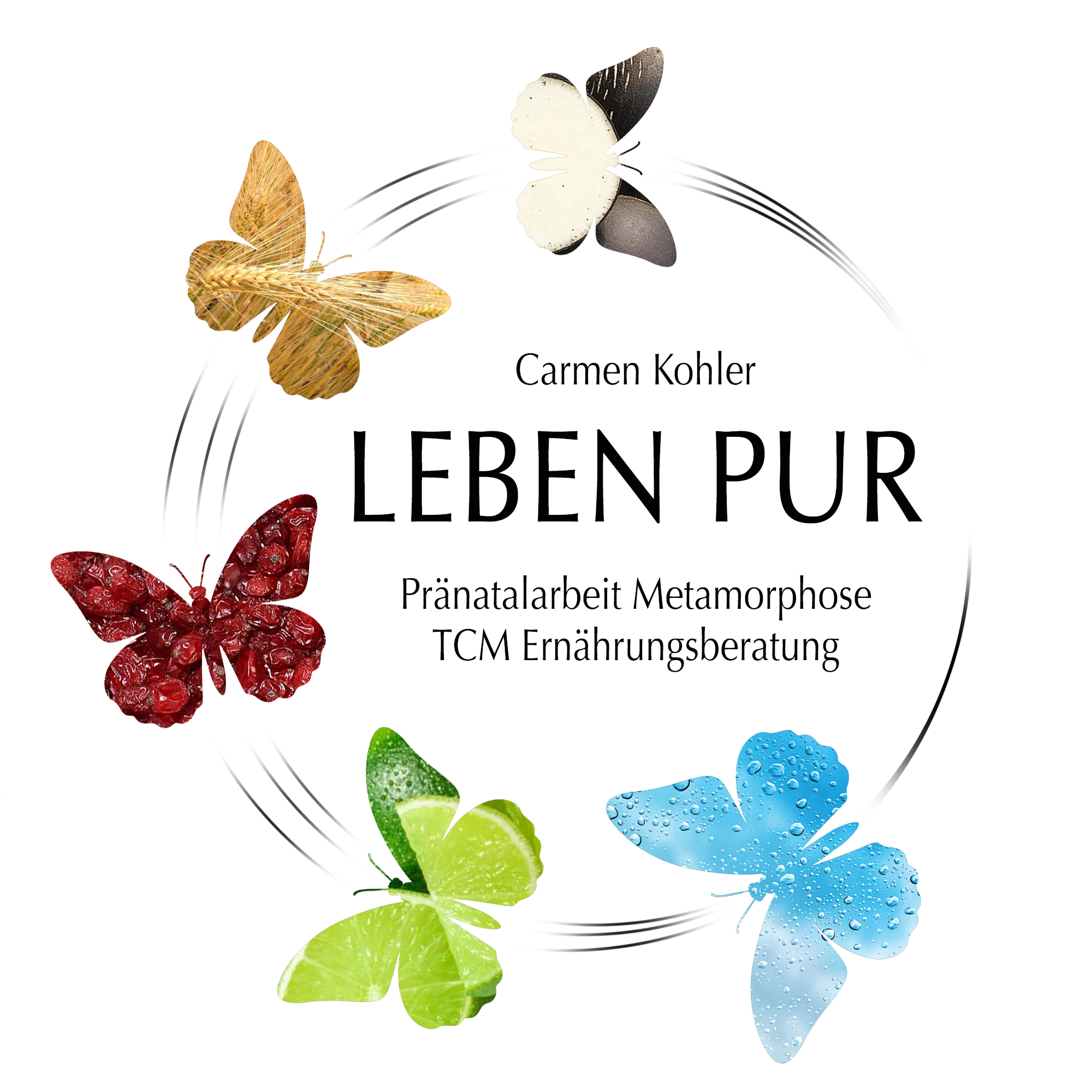 Carmen Kohler LEBEN PUR logo