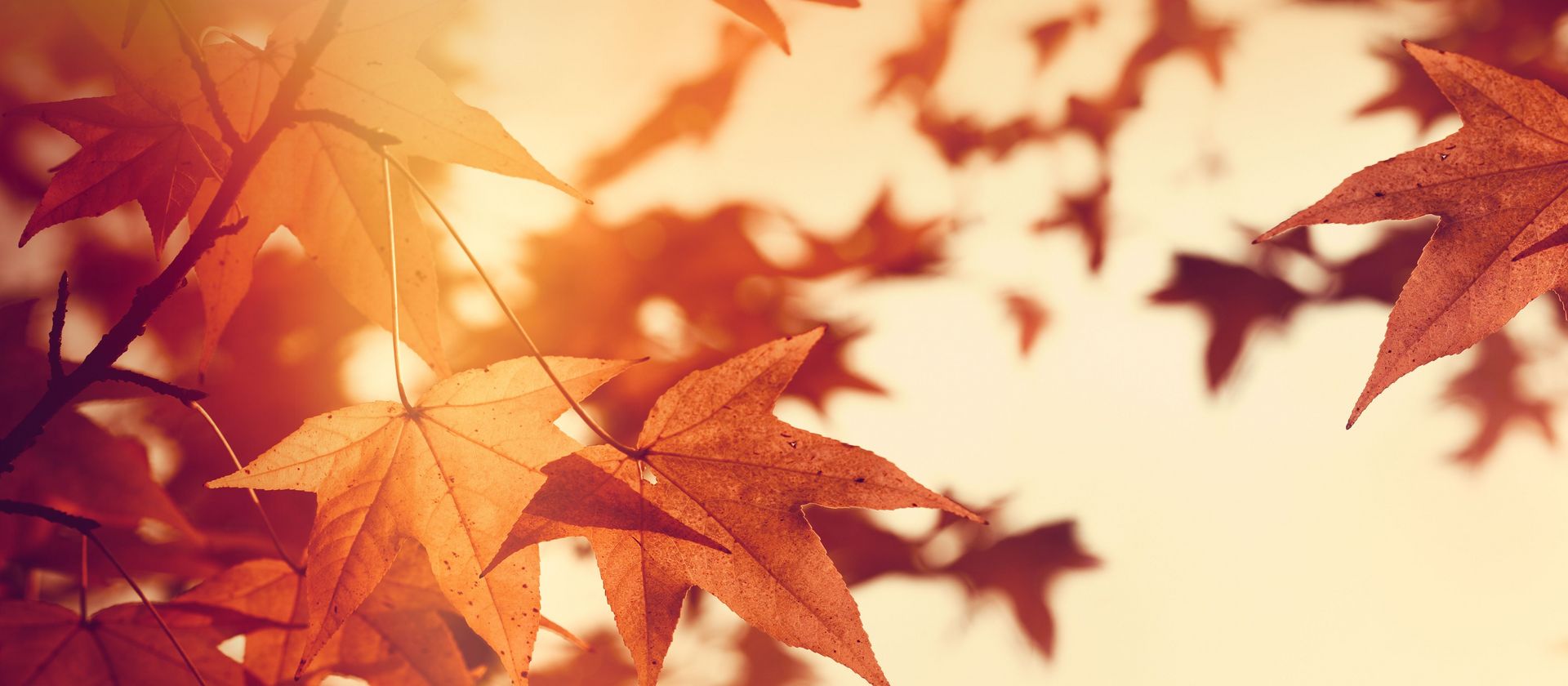 Pflegezentrum Sonnenberg Reinach