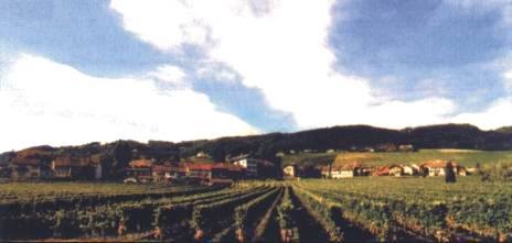 Clos Sur l'Abbaye