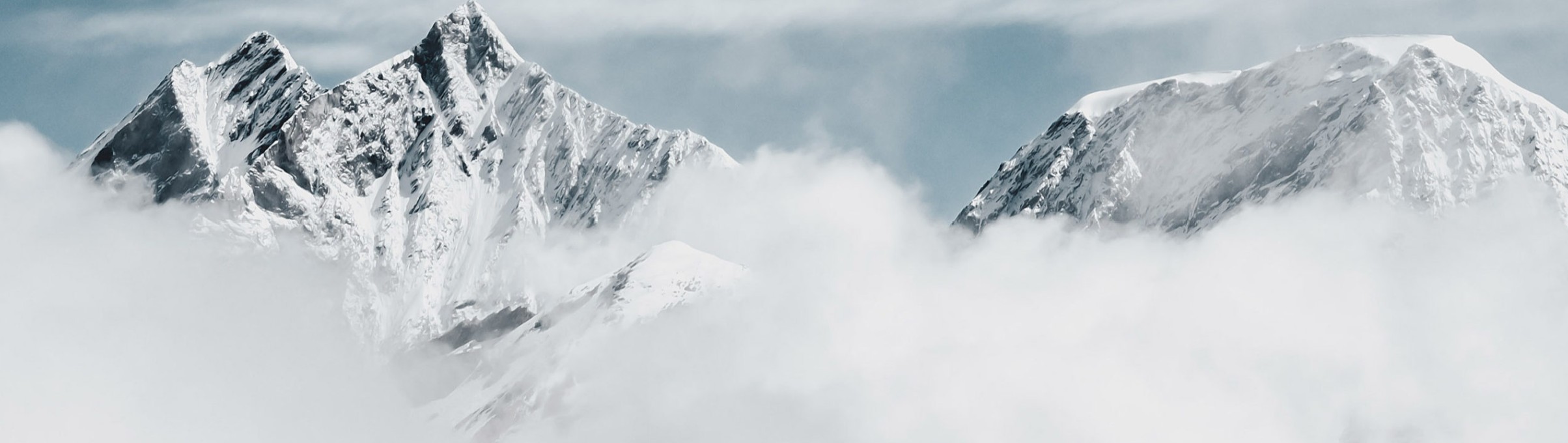 l&g partner advokatur & notariat