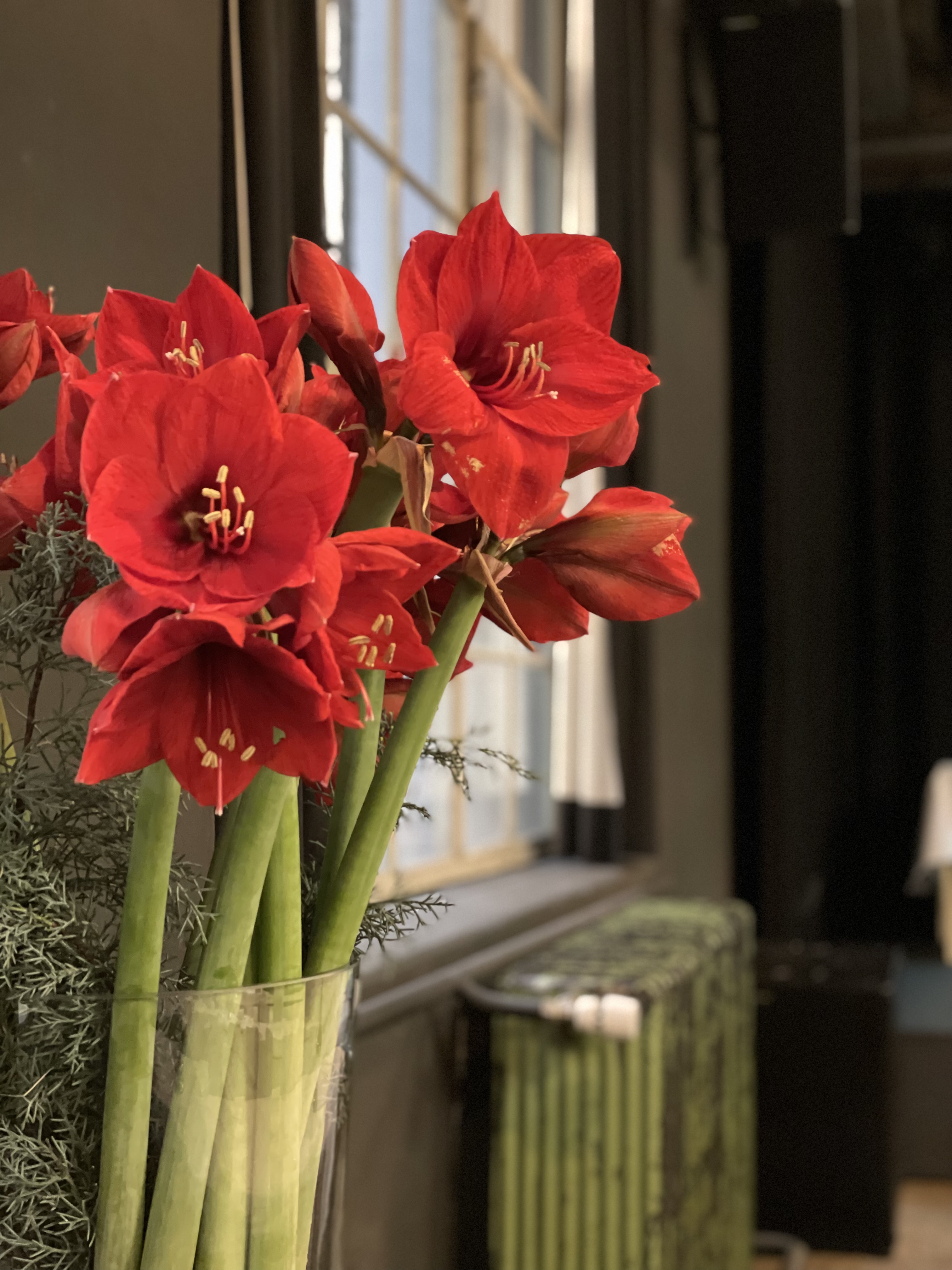 Toscanini GmbH, Blumen & Ambiente – click to enlarge the panorama picture