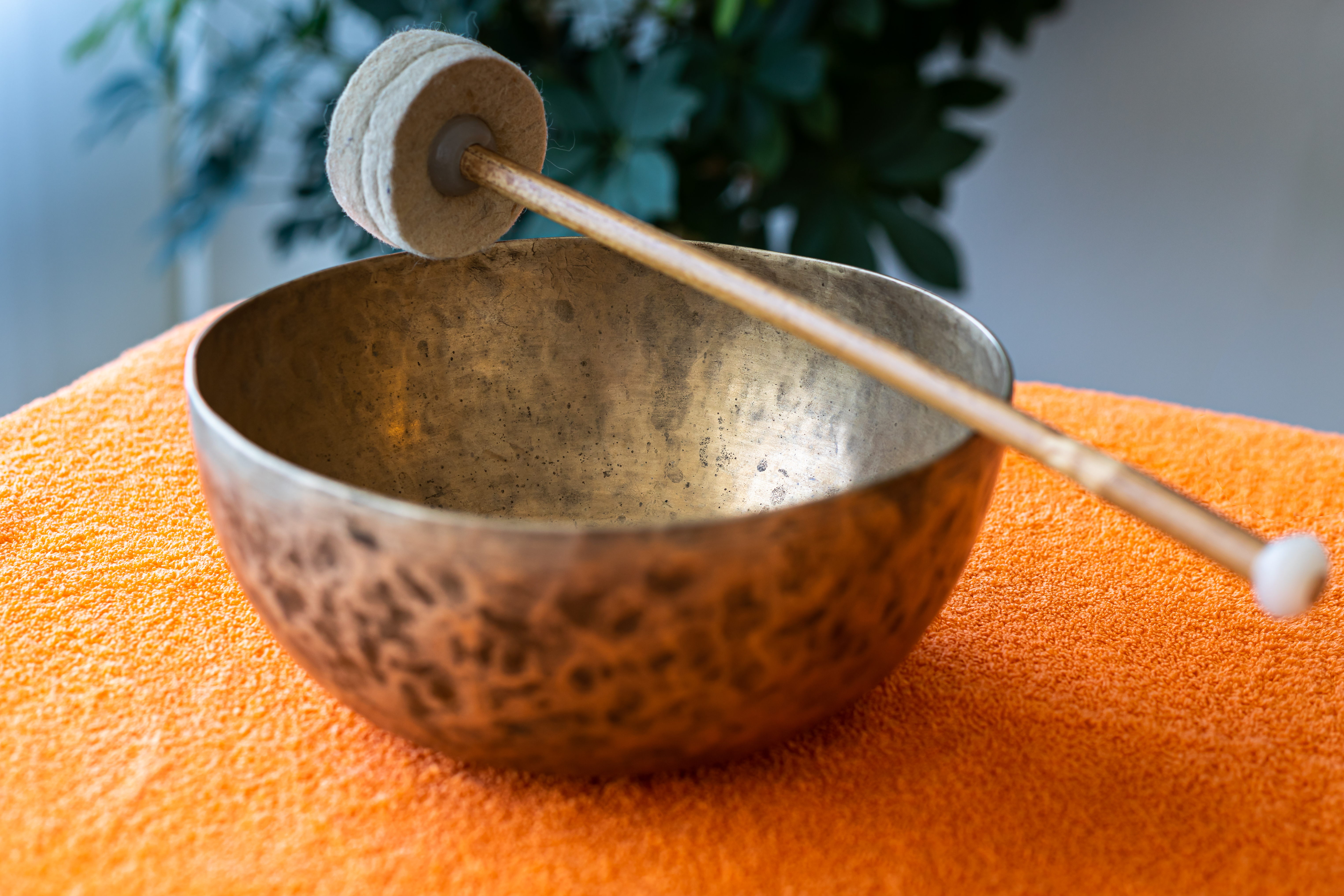 Jenny Aude Dénéréaz - Libre d'Oser