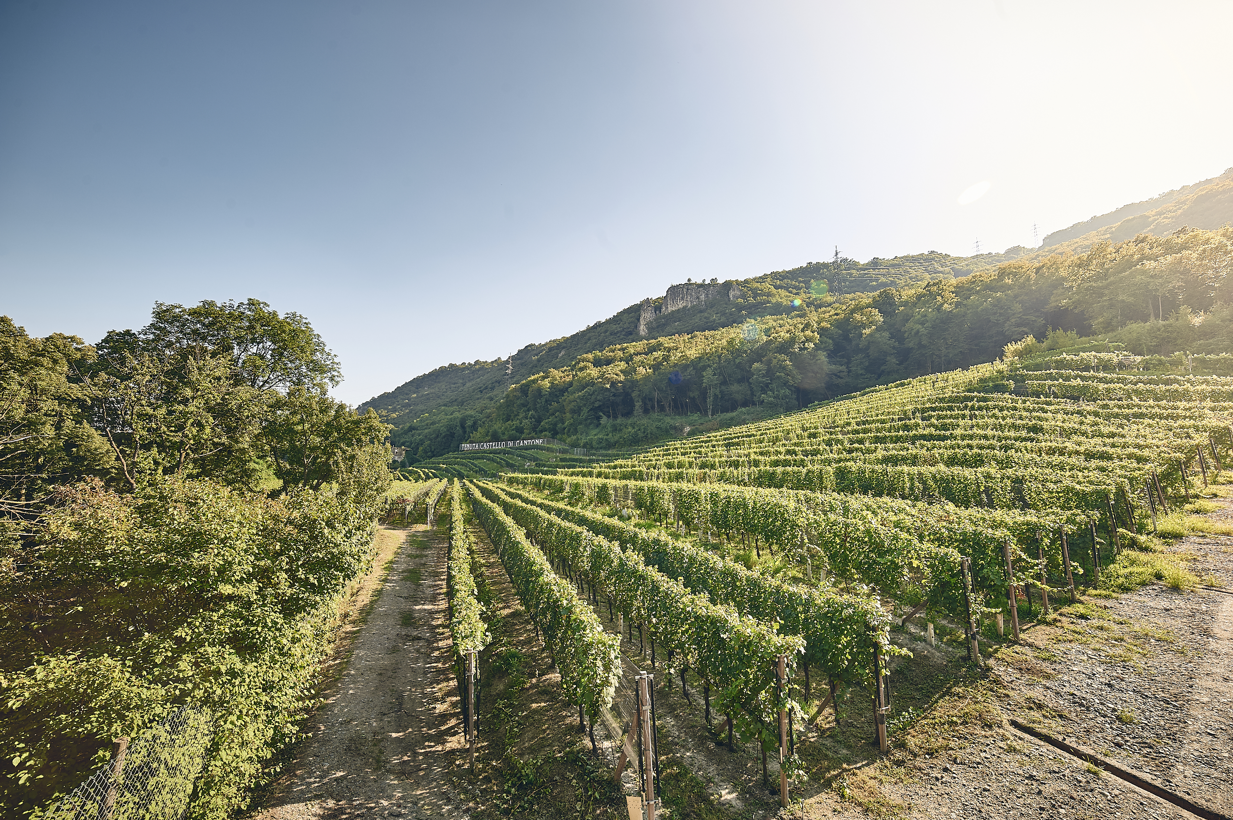 Castello di Cantone - Vecchia Masseria