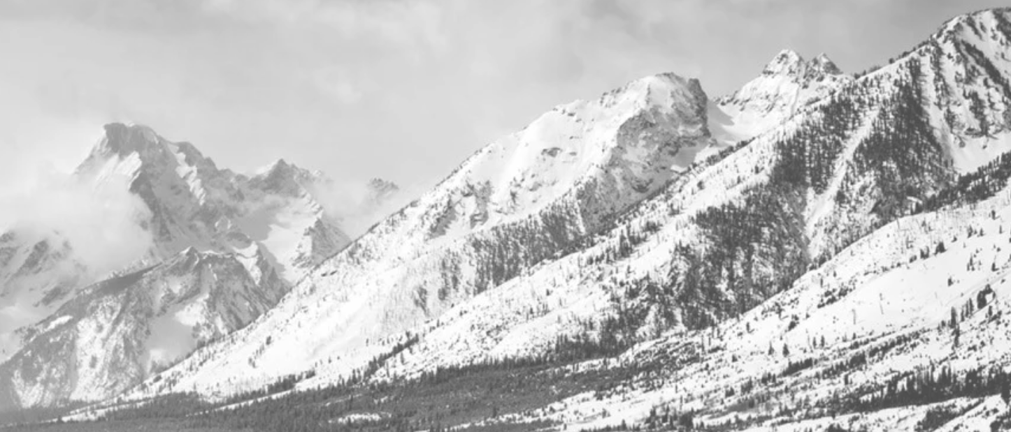 360 oncoaching di Paolo Capponi