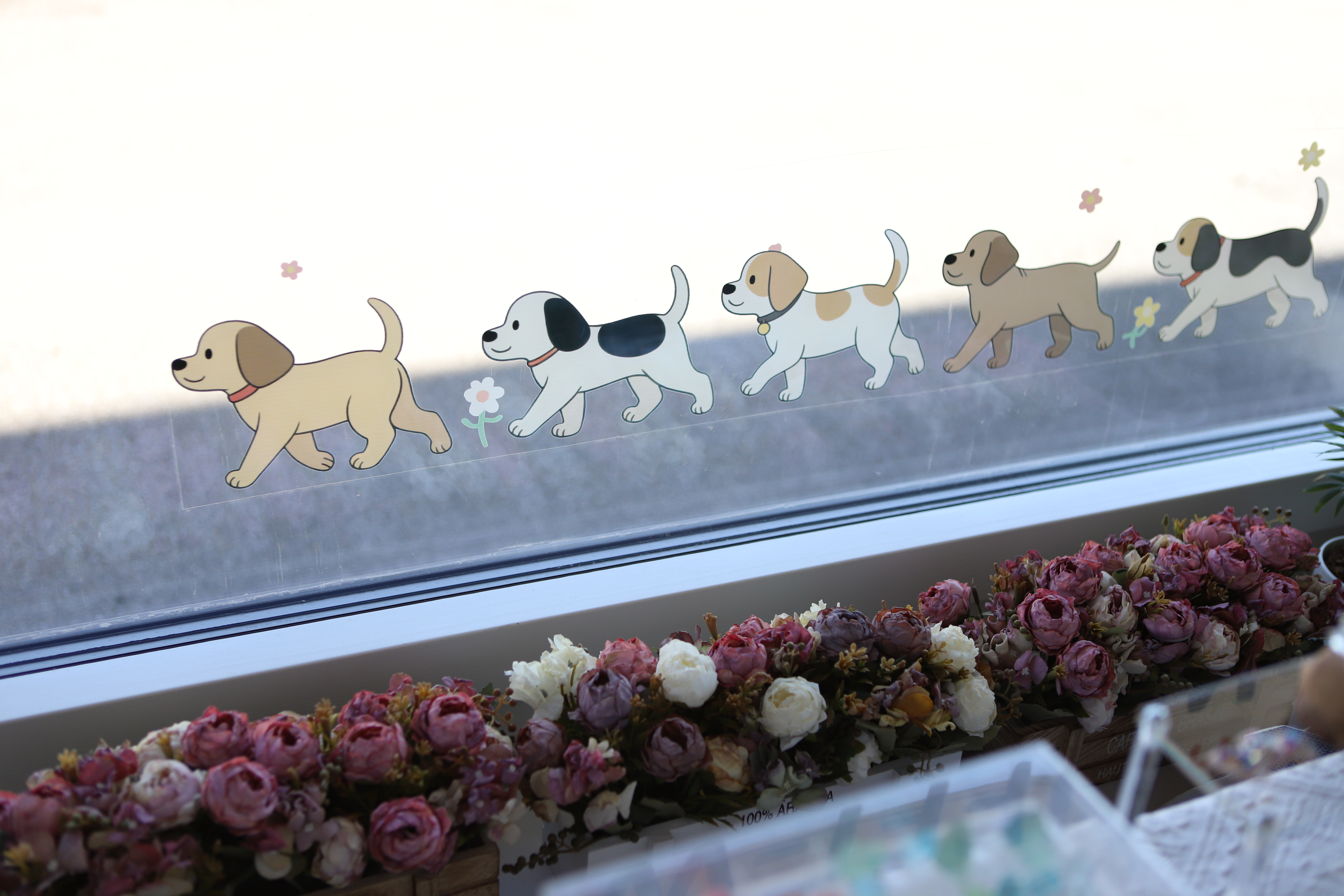 Hundesalon Wang Wuffi-Welt