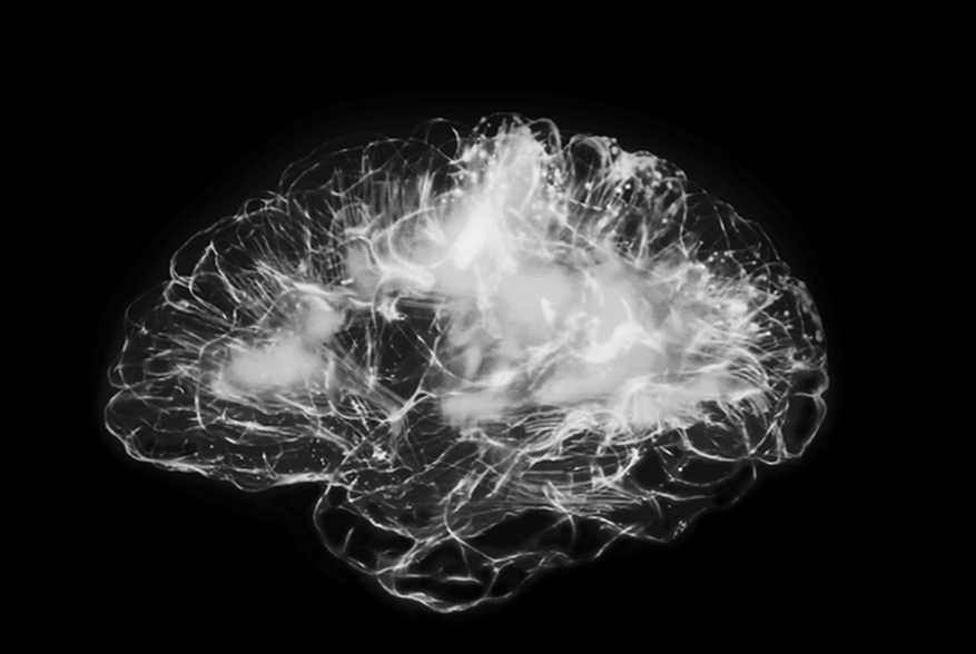 STAIGER Rechtsanwälte AG