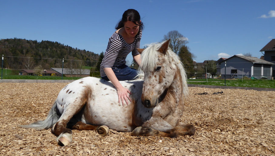 Praxis für klassische Homöopathie Breitenmoser