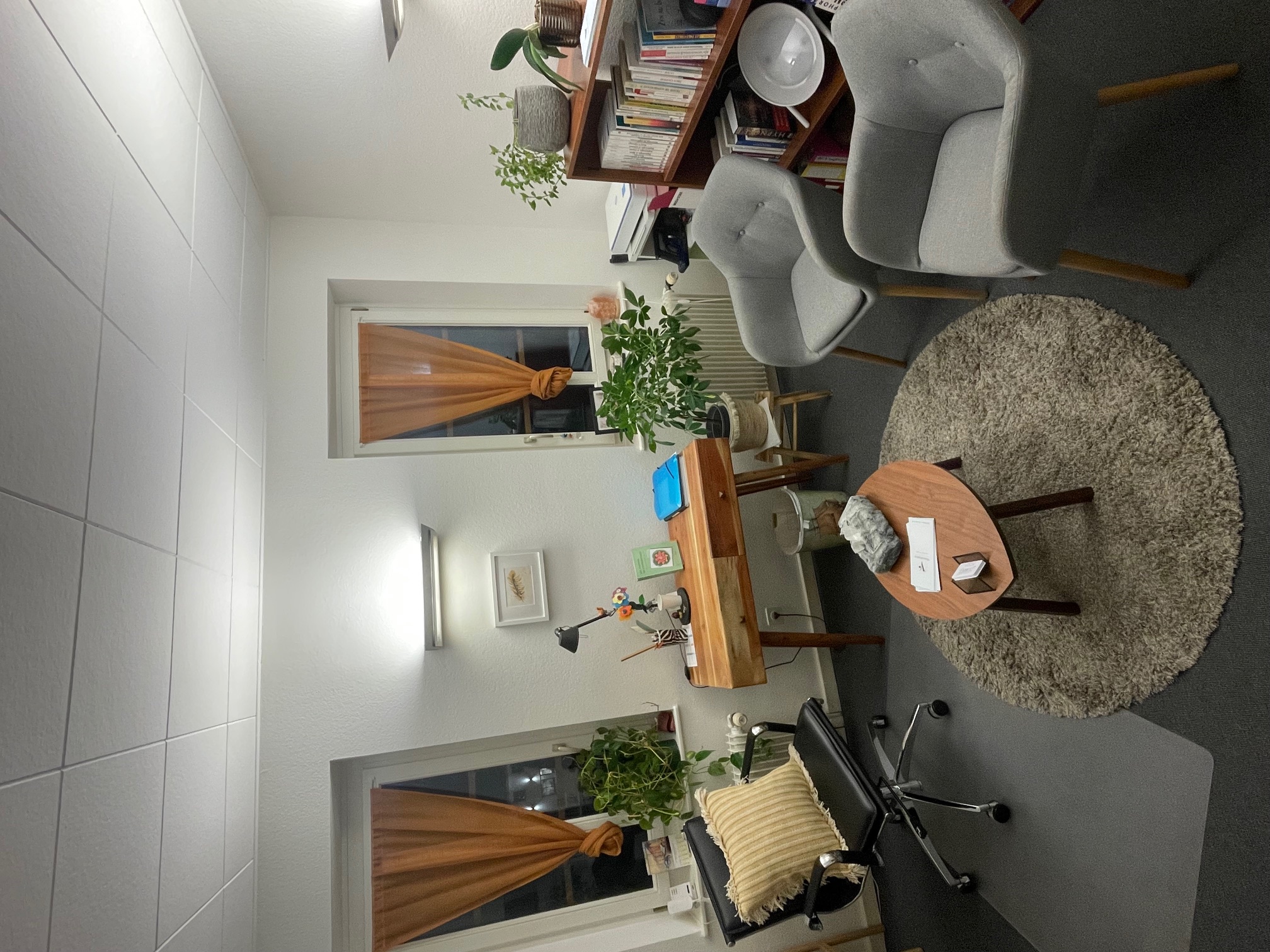 Daniela Kissling - Cliccare per ingrandire l’immagine panoramica