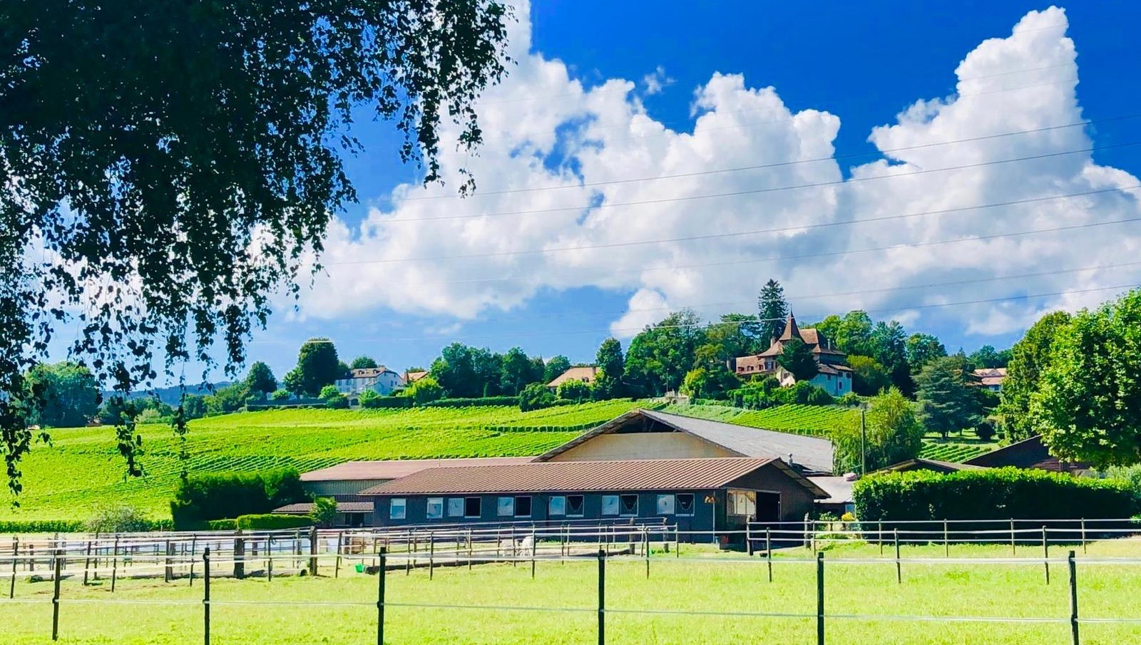 Manège de Begnins