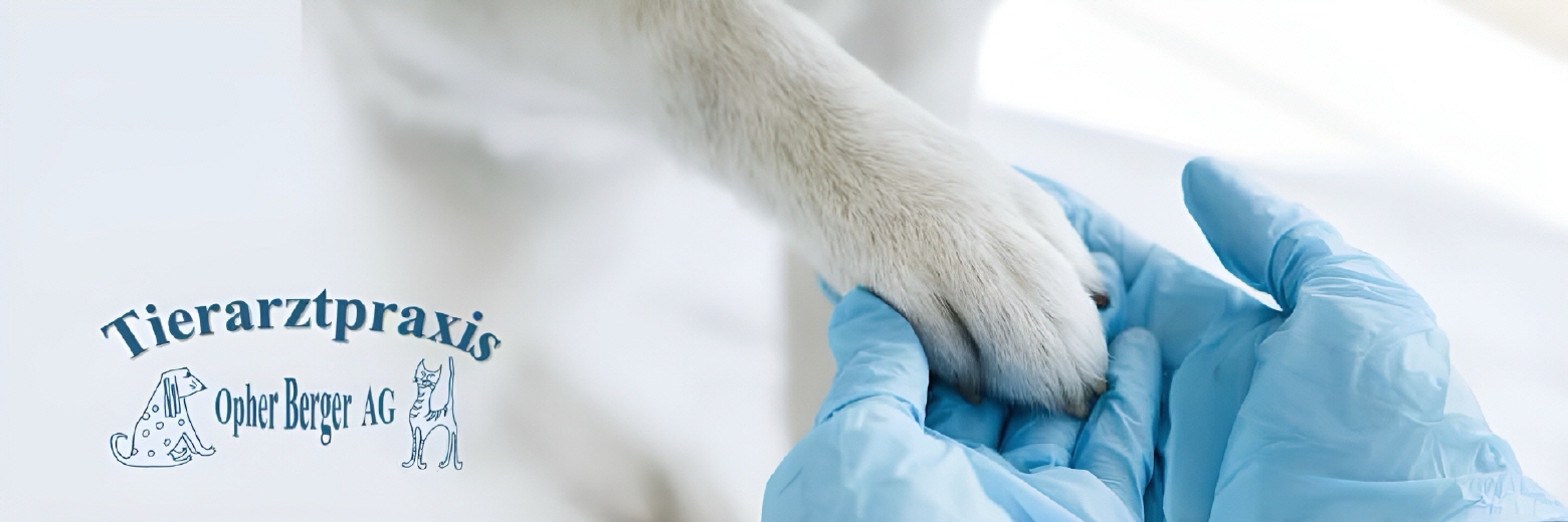 Tierarztpraxis Opher Berger AG