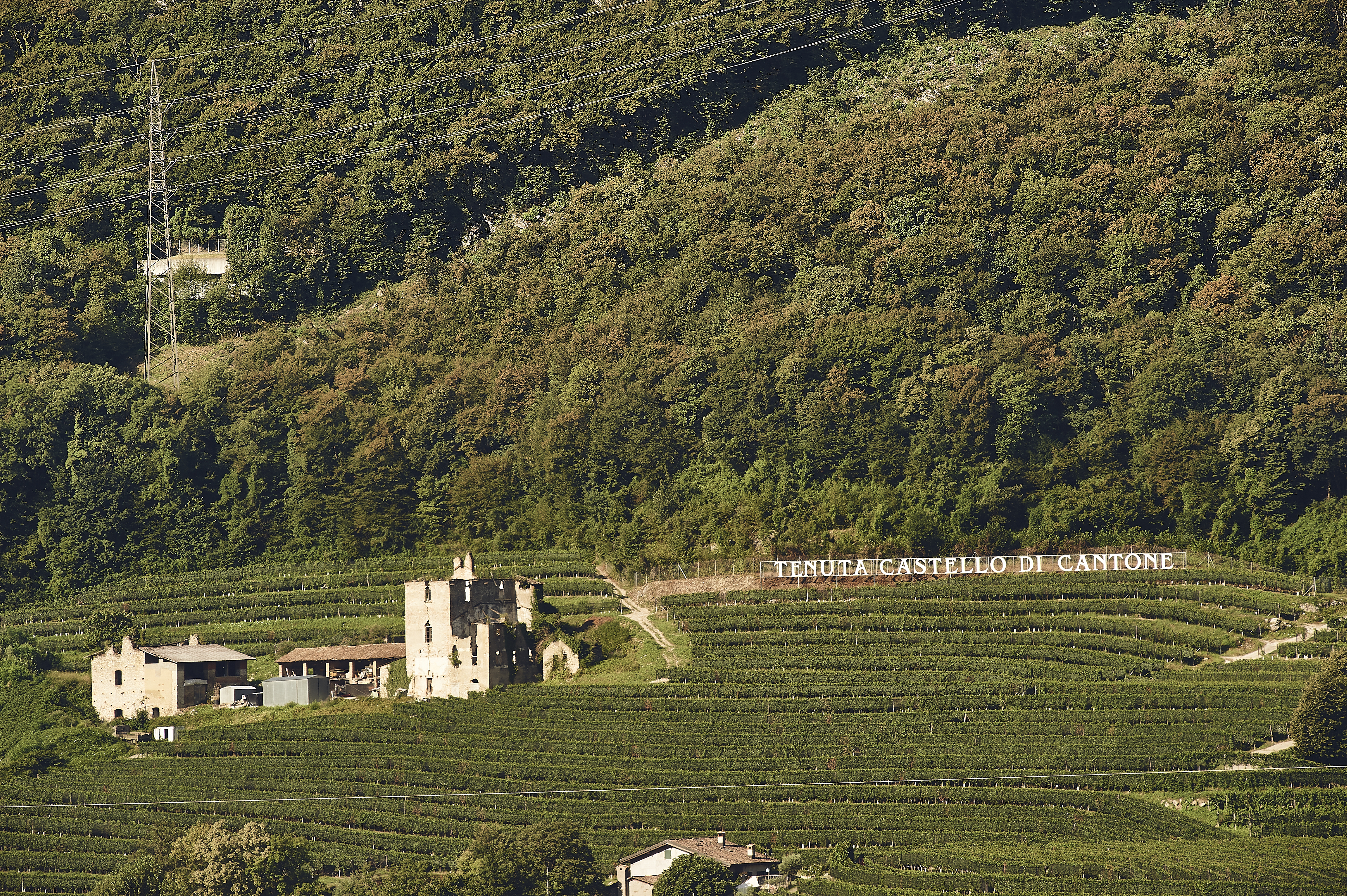 Castello di Cantone - Vecchia Masseria – click to enlarge the panorama picture