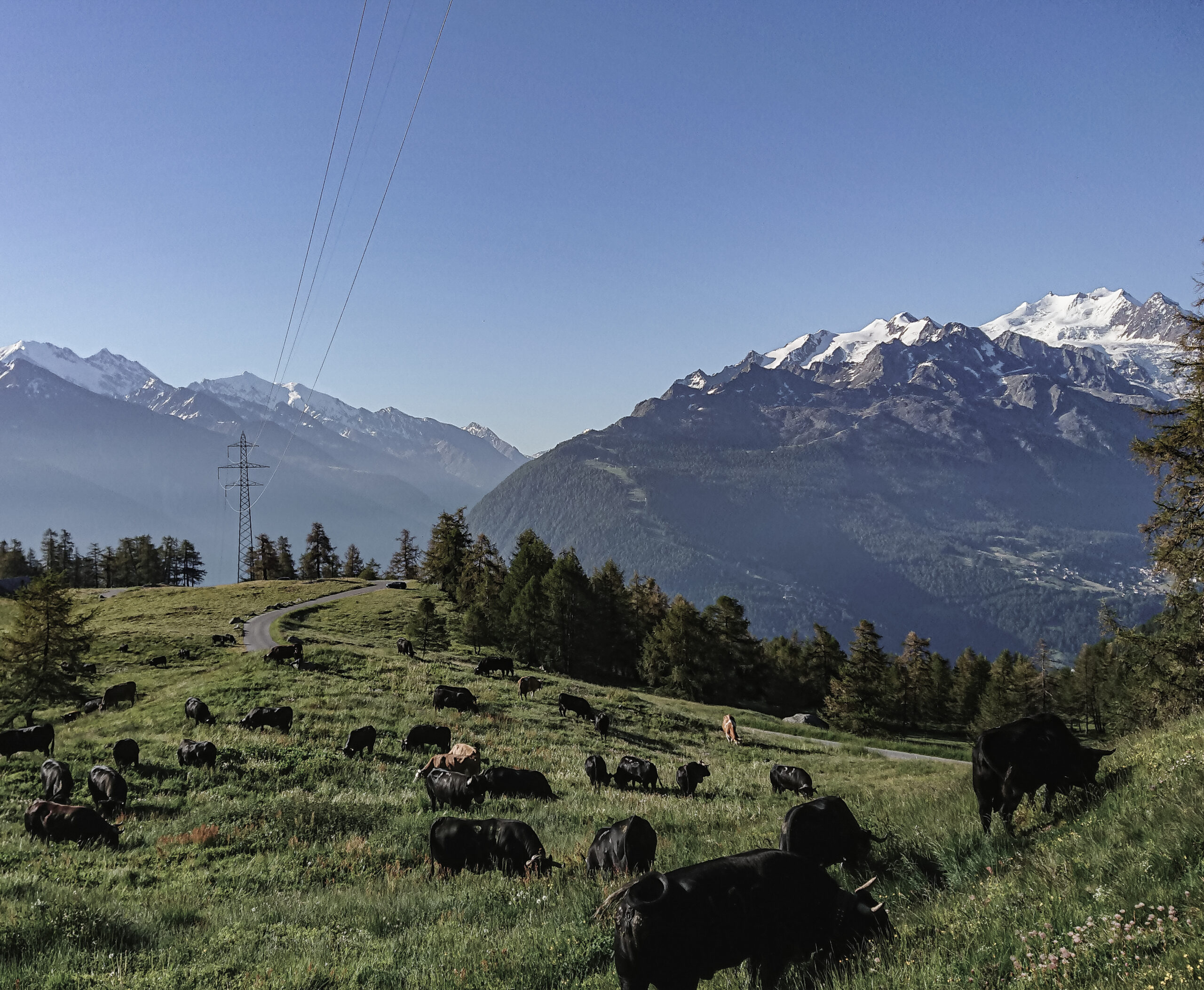 Weisshorn | Berghotel + Restaurant - Klicken, um das Panorama Bild vergrössert darzustellen