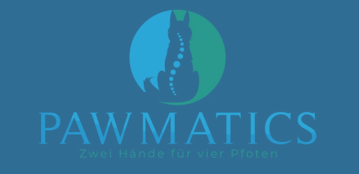 Hundephysiotherapie - PAWMATICS