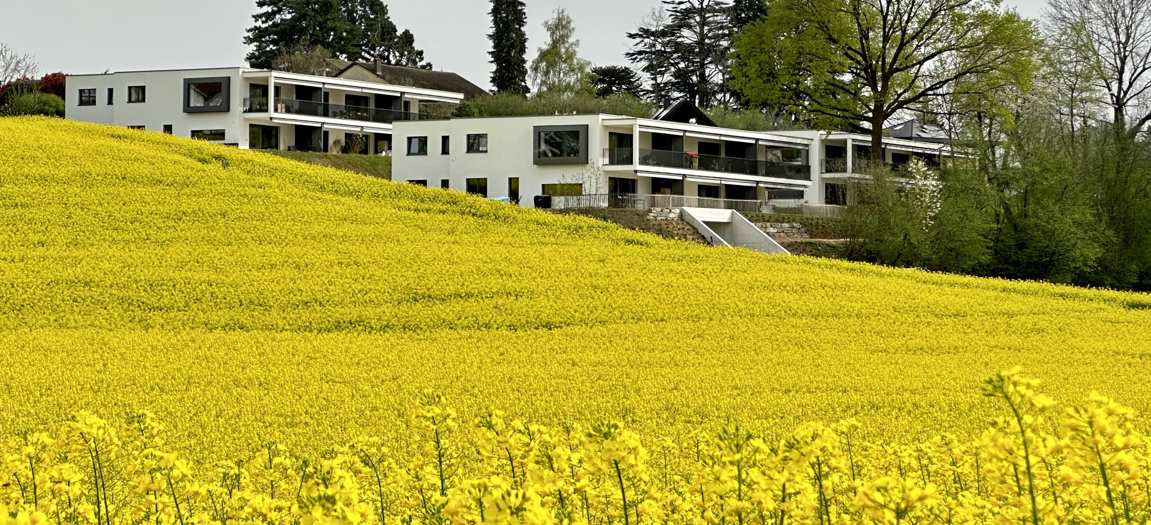 Dominique Baldi Entreprises SA