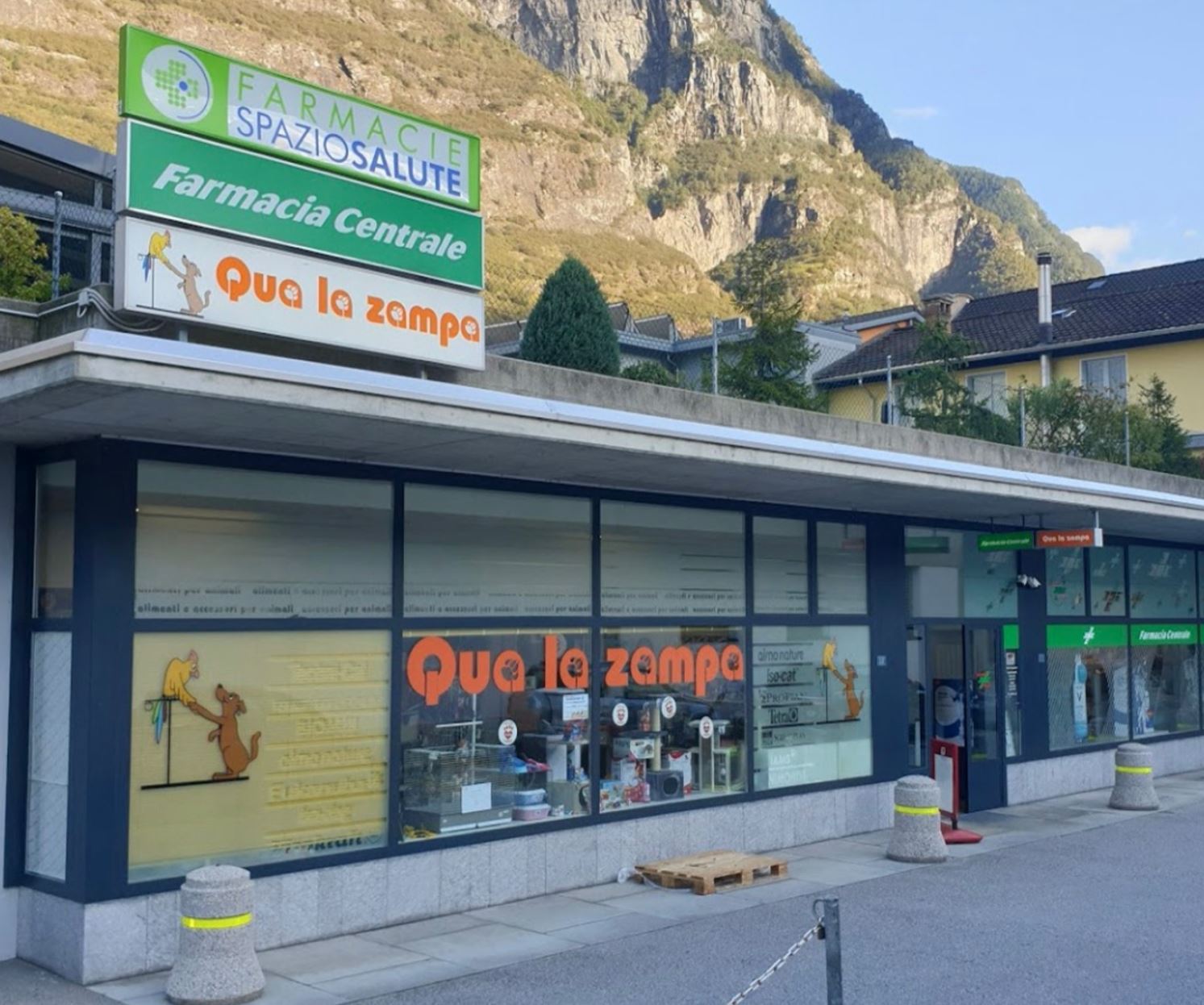 Qua la Zampa di Alessia Milani Termini