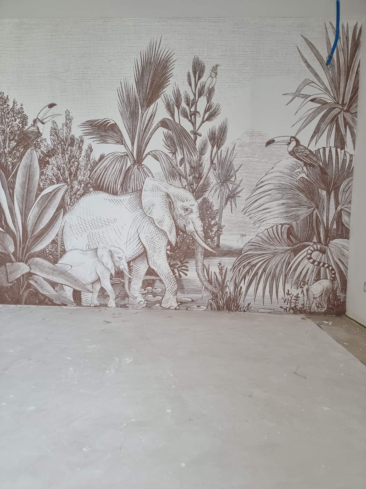 Ideal Gypserie Sàrl