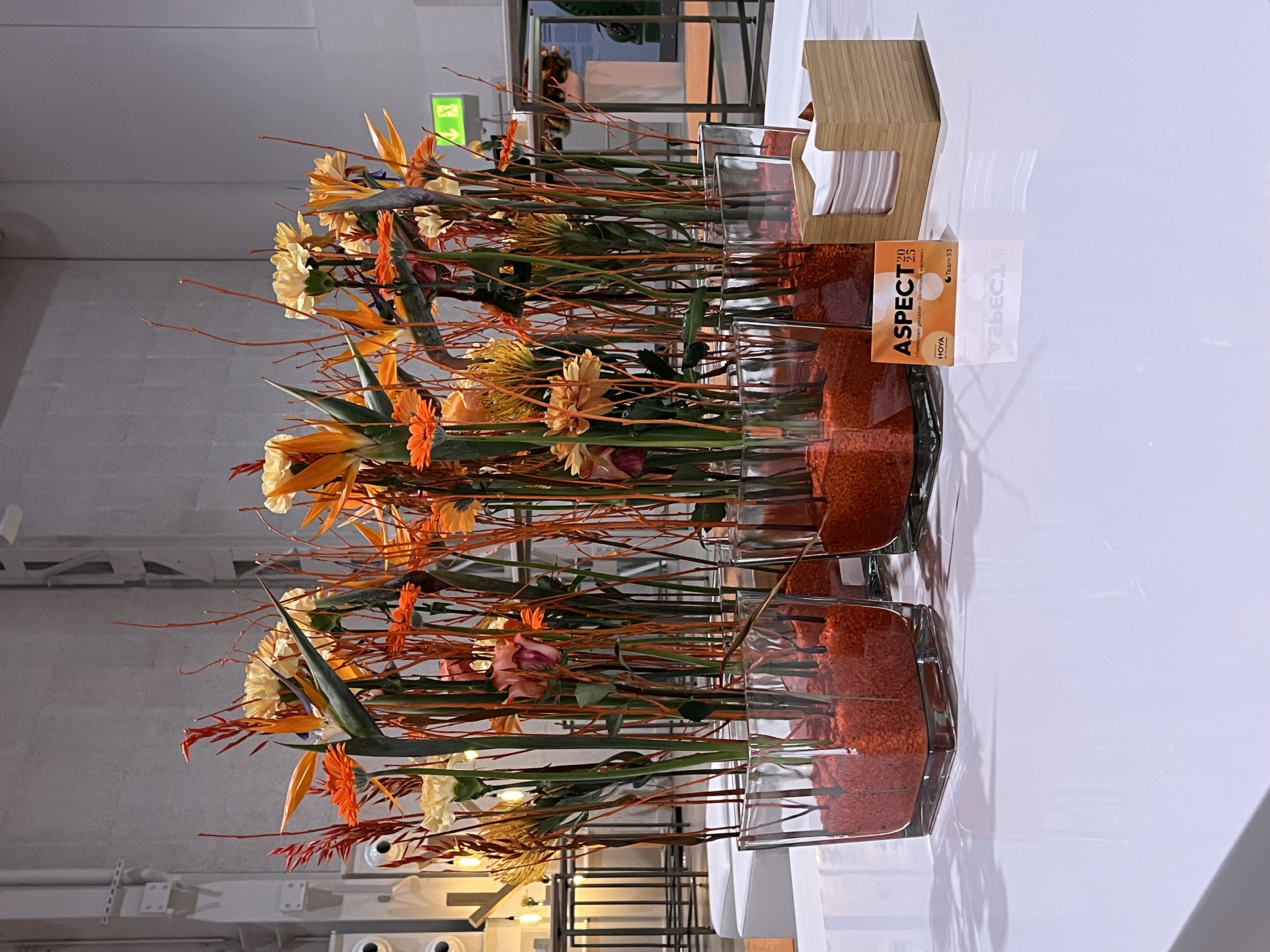 Toscanini GmbH, Blumen & Ambiente – click to enlarge the panorama picture