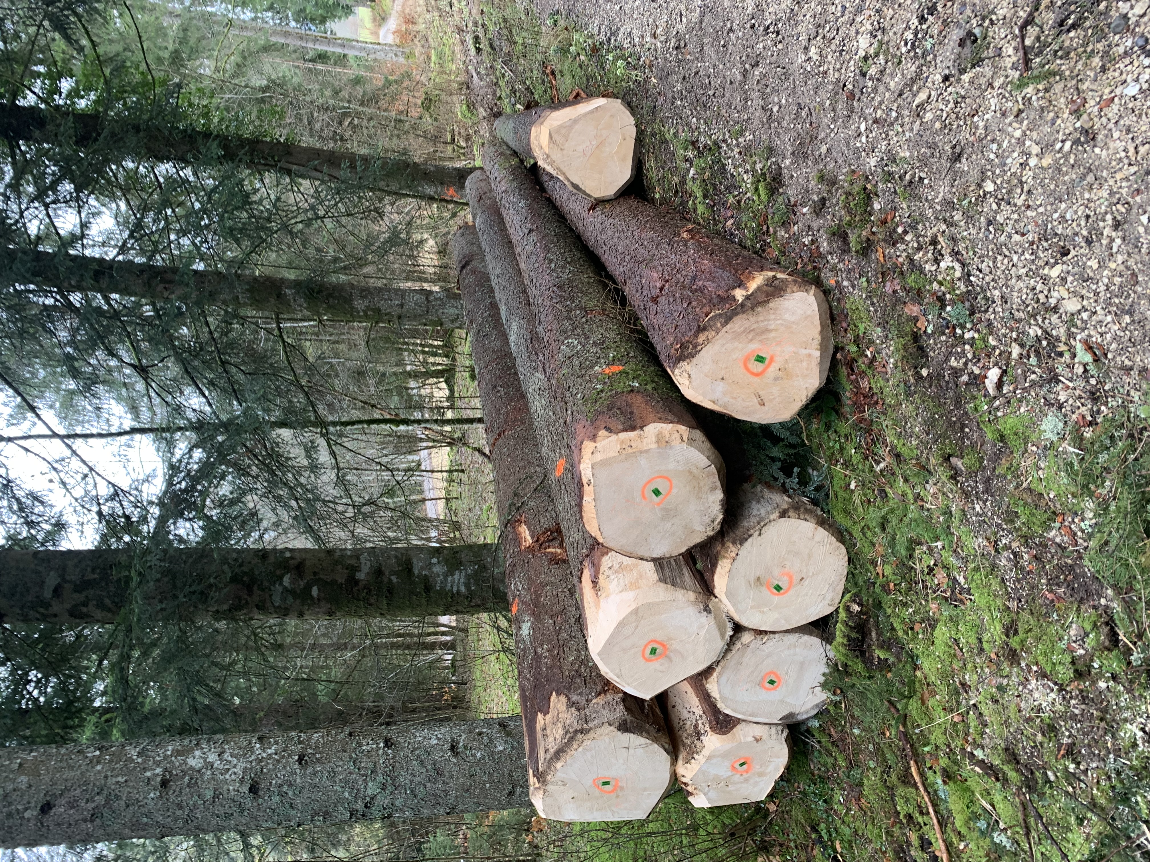 Urs Amstutz Entreprise Forestière