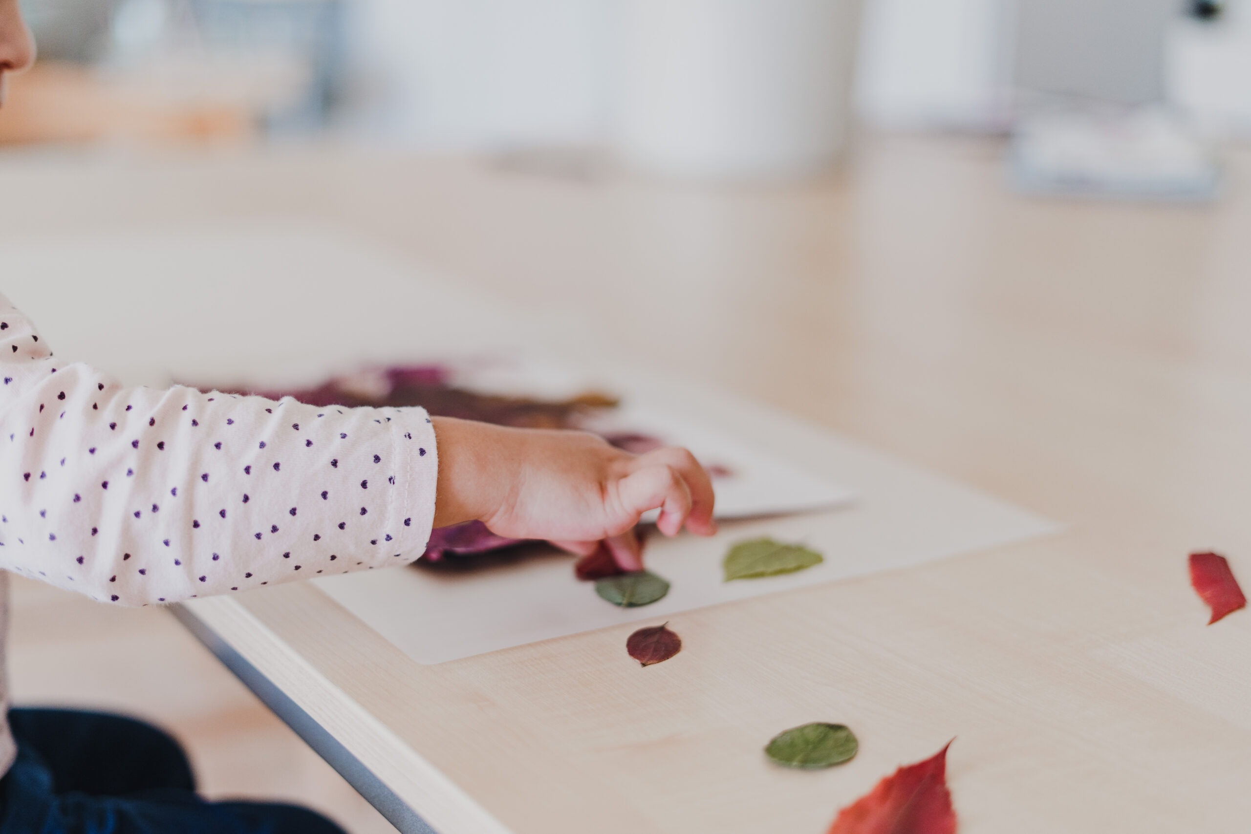 KITA Schwanenäscht - Klicken, um das Panorama Bild vergrössert darzustellen