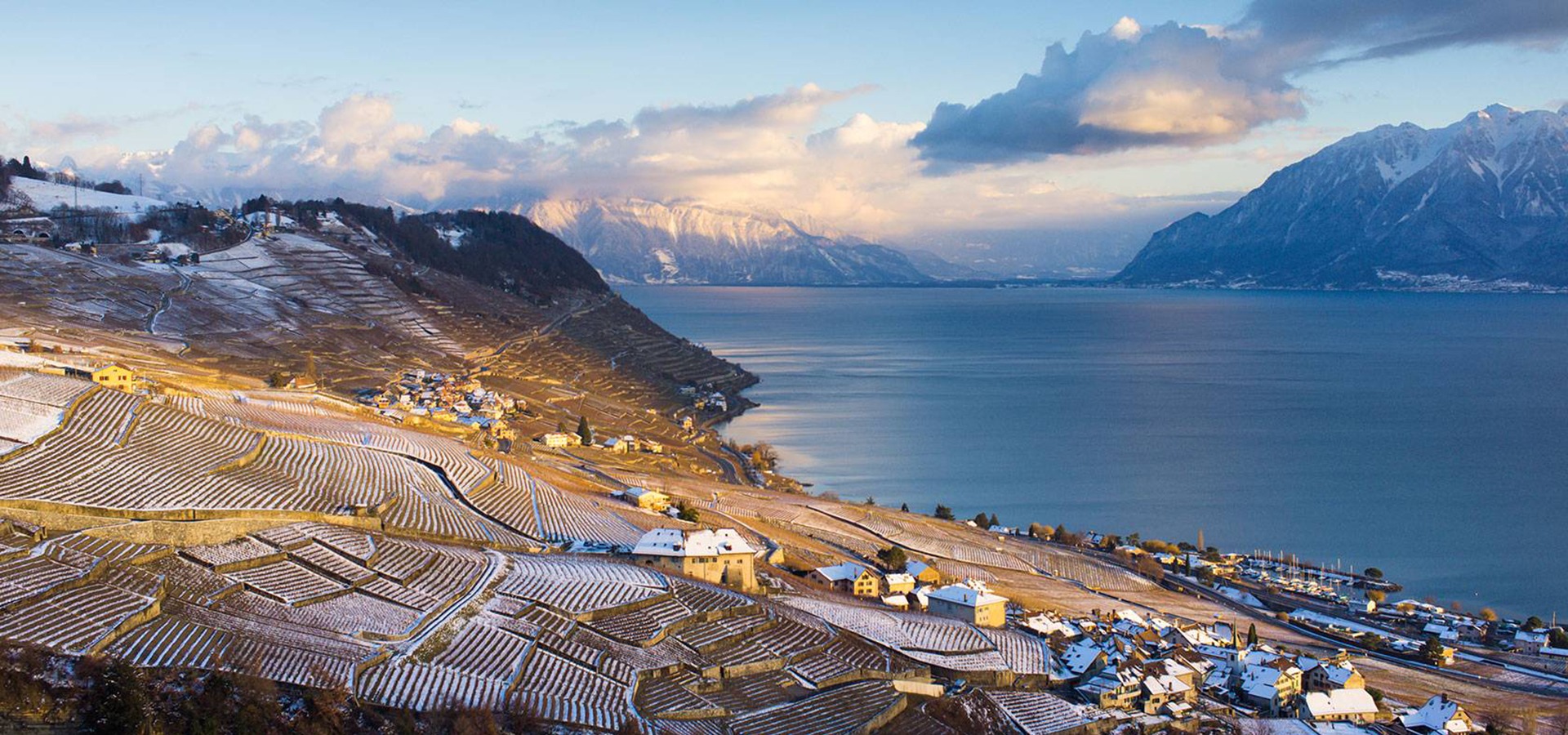 Dacodac Sàrl - Service d'immeuble & jardin