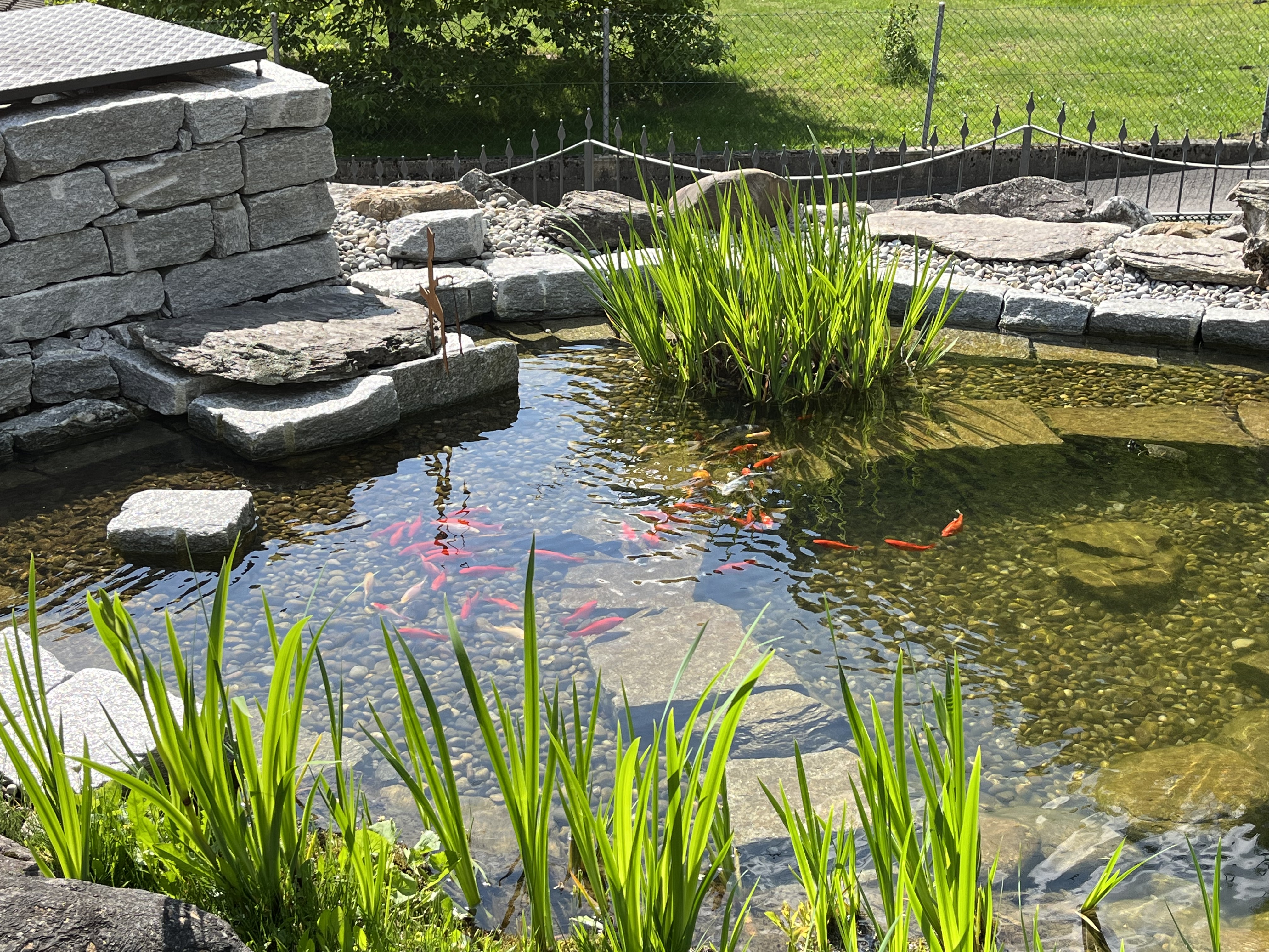 AQVA Irrigation & Outdoor Lighting Solutions - AQVA Sagl – click to enlarge the panorama picture