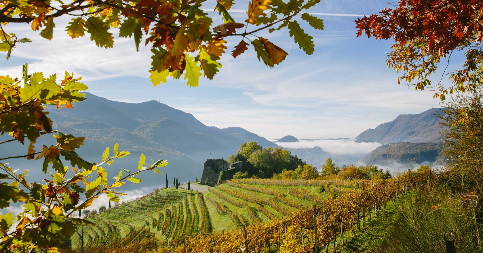 Tenuta Castello di Morcote