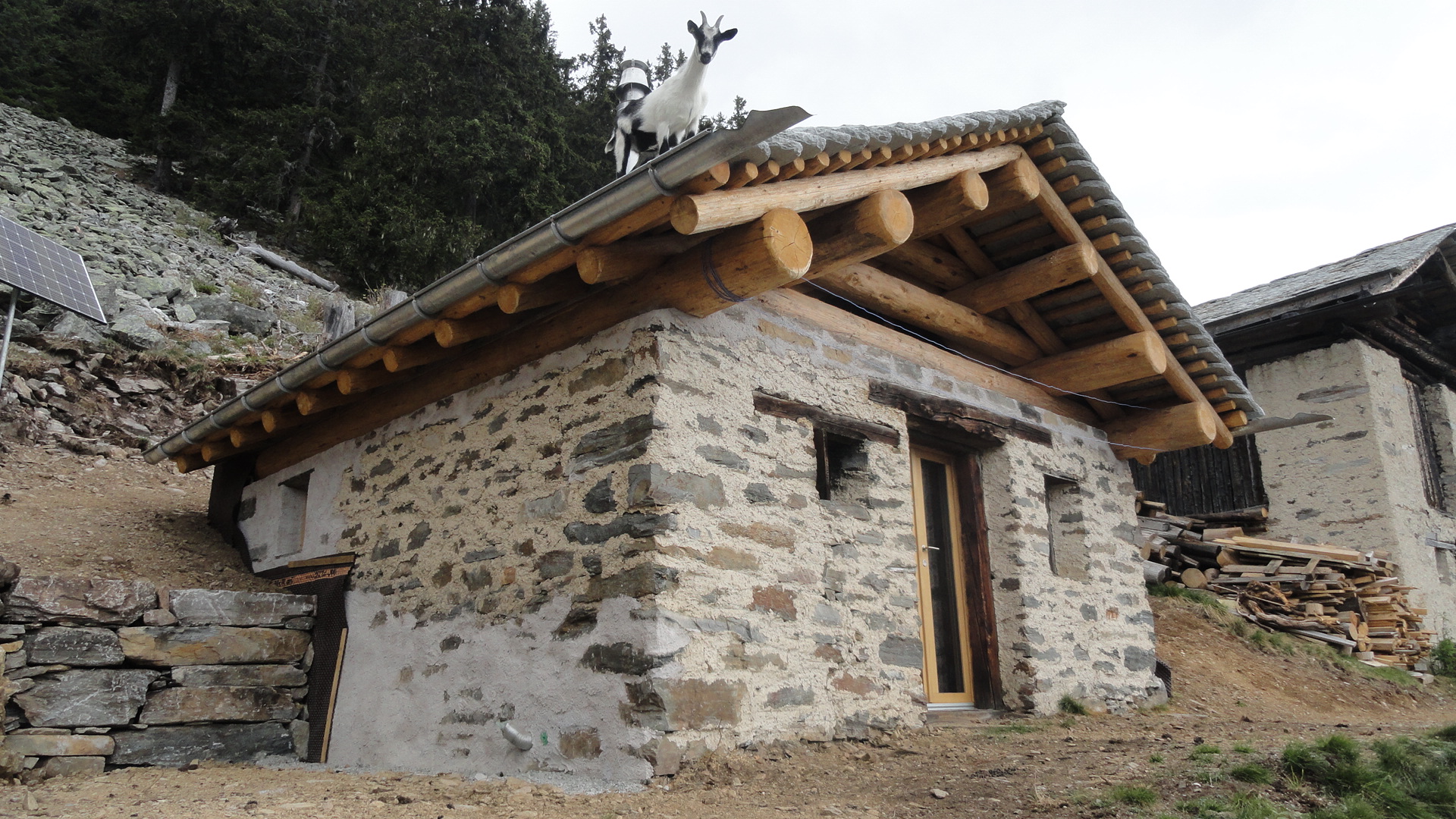 Leonardo Bühler Sagl.