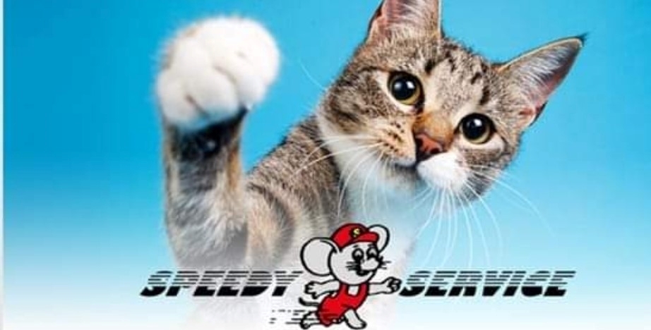 Speedy- Service Dienstleistung mit Herz für Mensch und Tier – click to enlarge the panorama picture