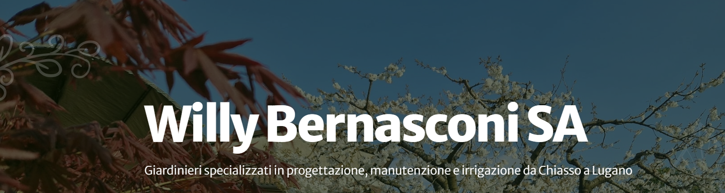 Bernasconi Willy SA