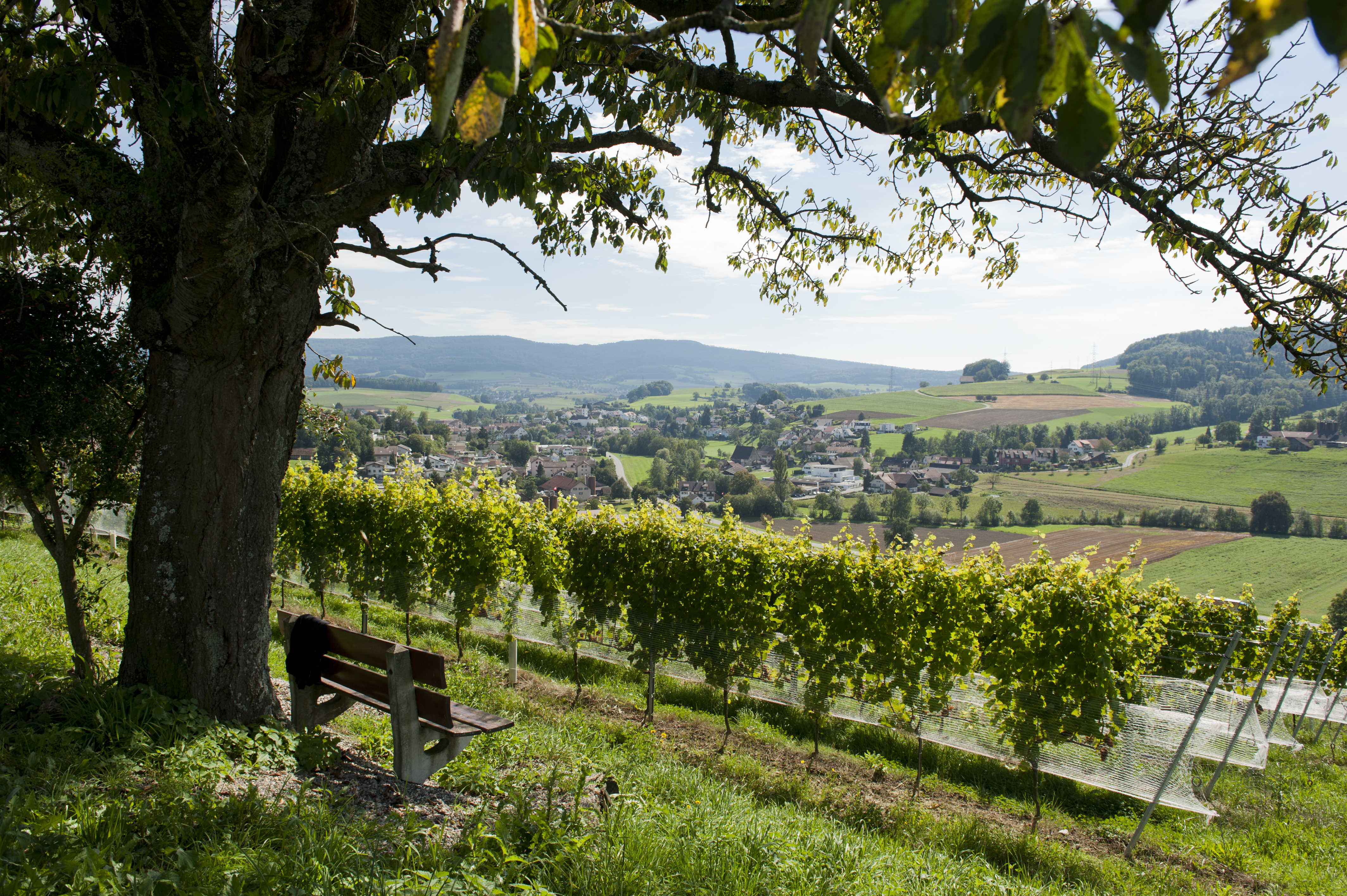 Gemeinde Lengnau AG