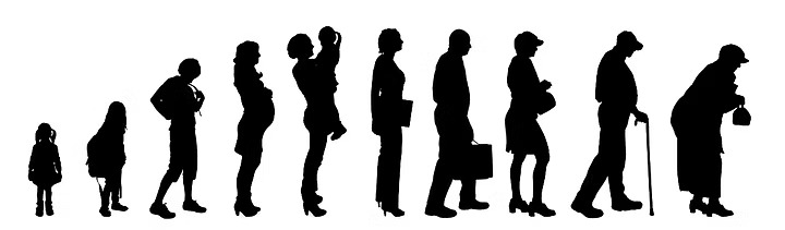 PhysioEvolution - Susana Ferreira Cardoso