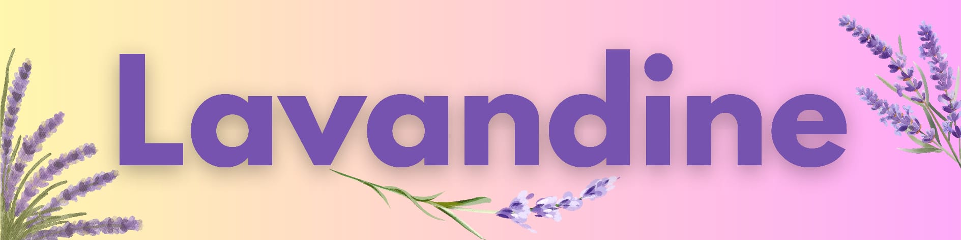 Cabinet Lavandine, Mariève Bourban