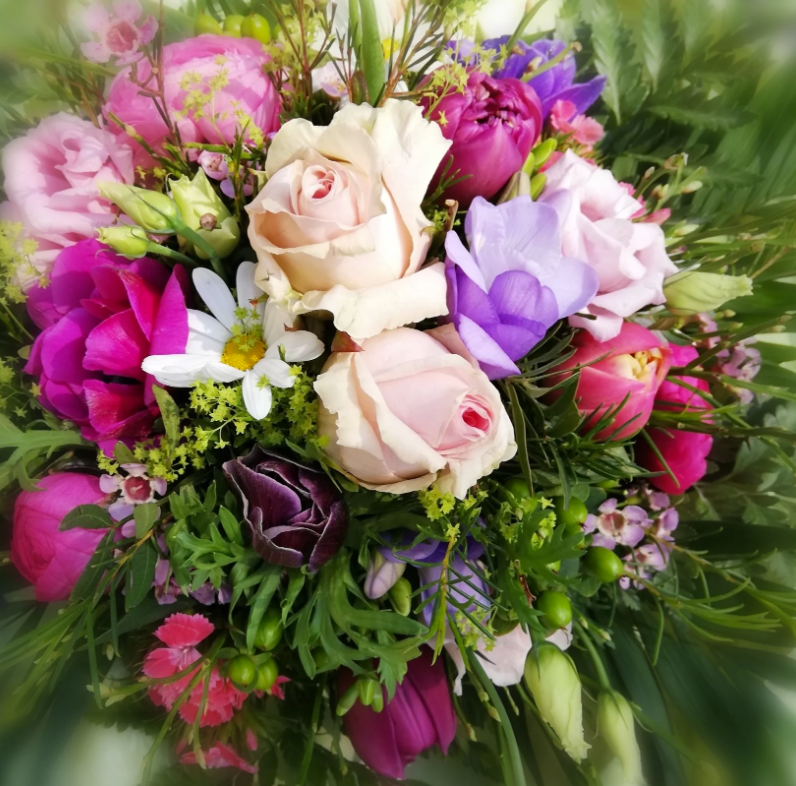 Blumen Vergissmeinnicht