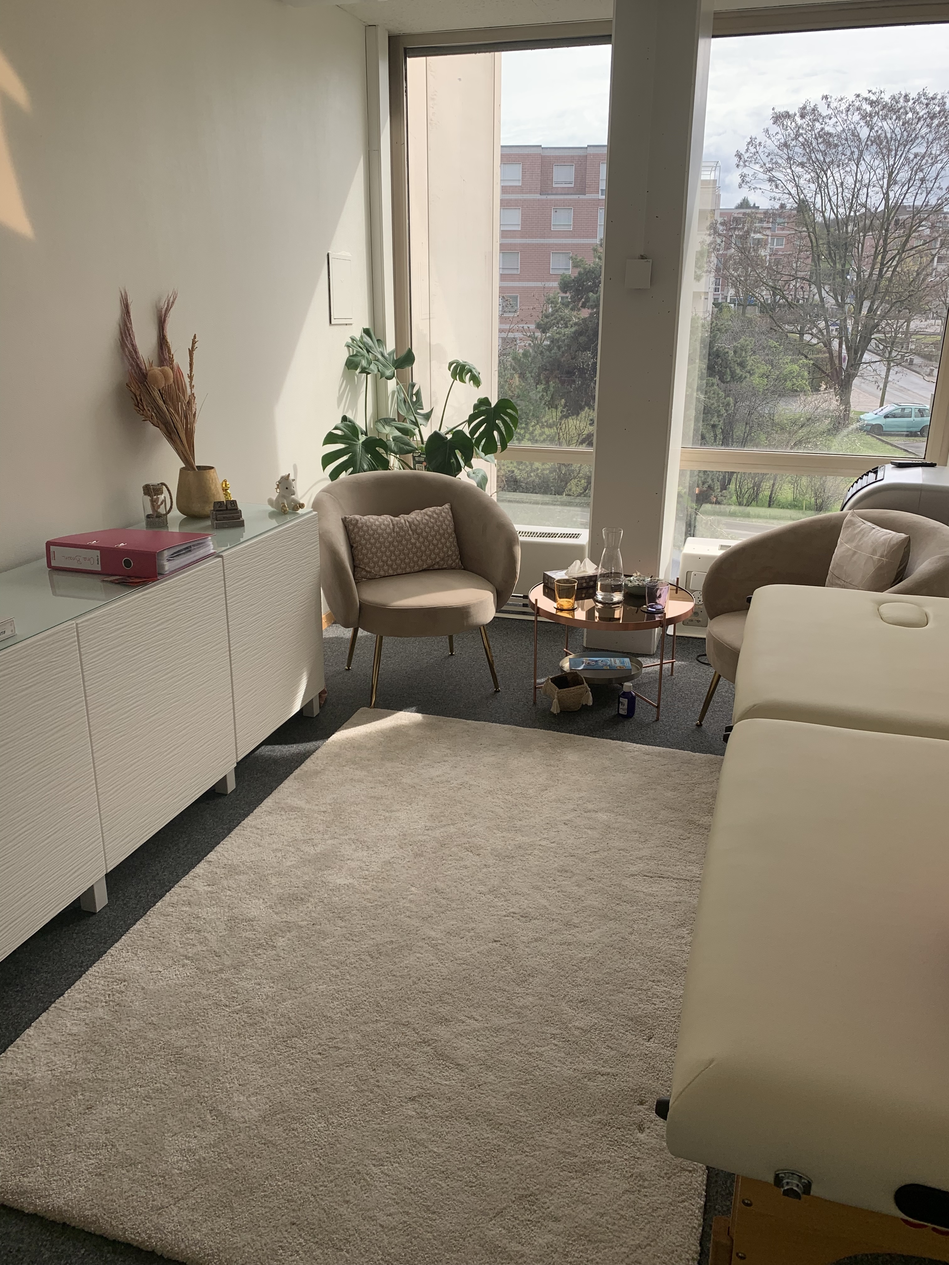 Aude Pfister thérapeute