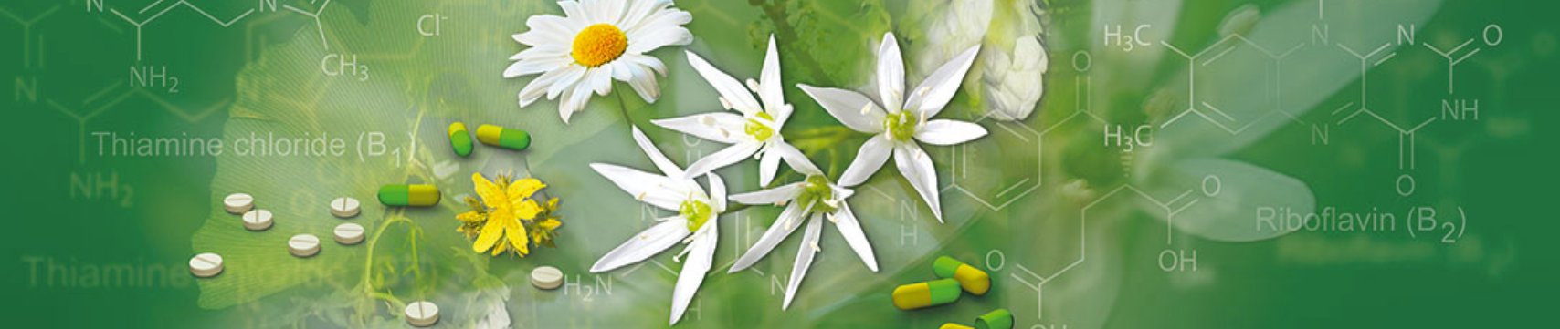 Wegmühle Apotheke - Martin Emch