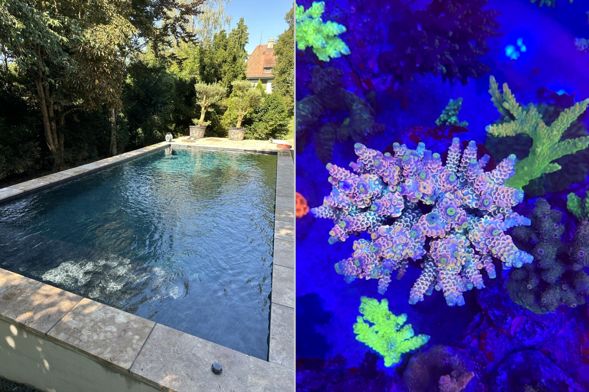 Schwimmbad & Meer GmbH