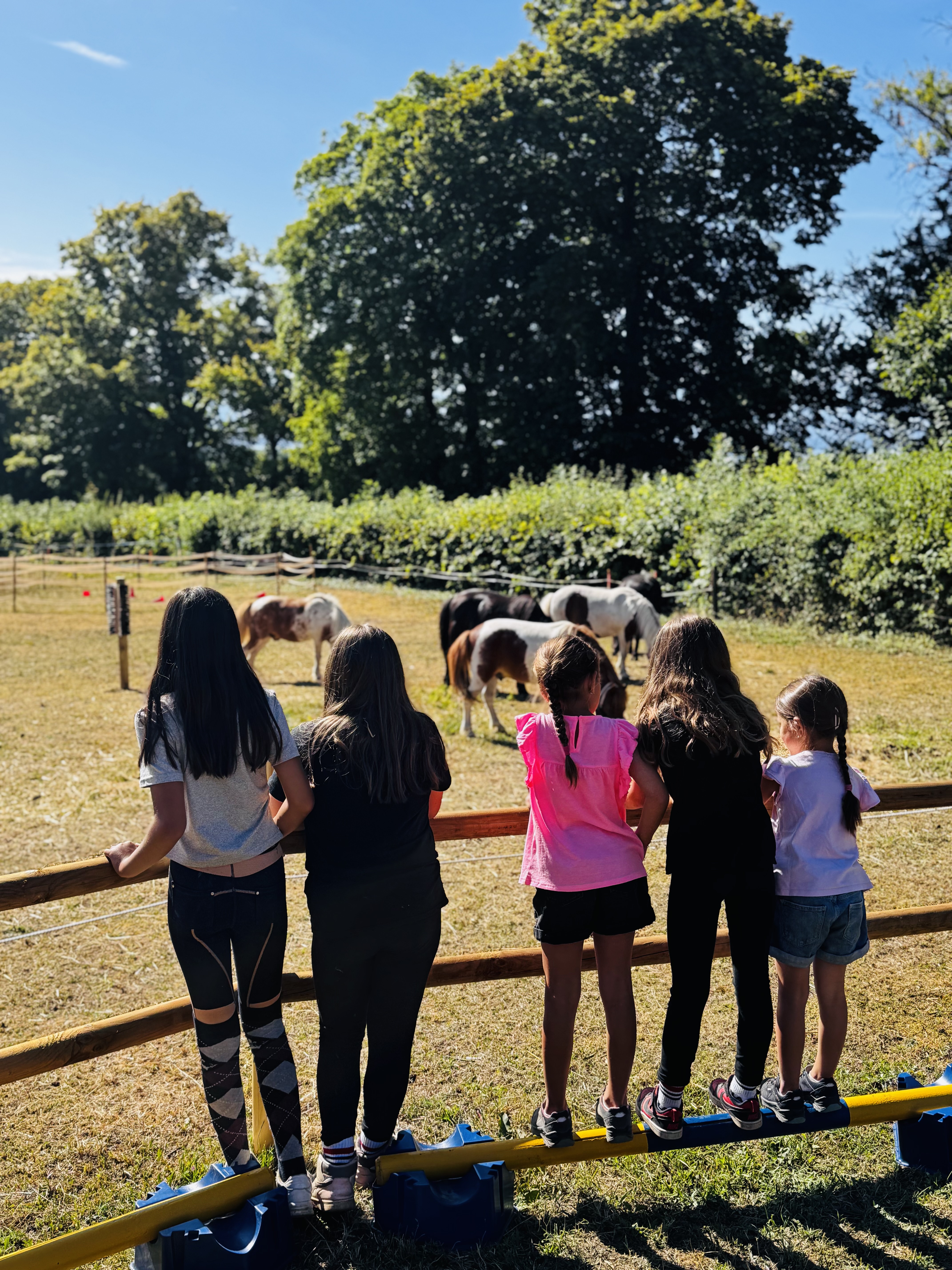 Les Petits Sabots Pilet - Klicken, um das Panorama Bild vergrössert darzustellen