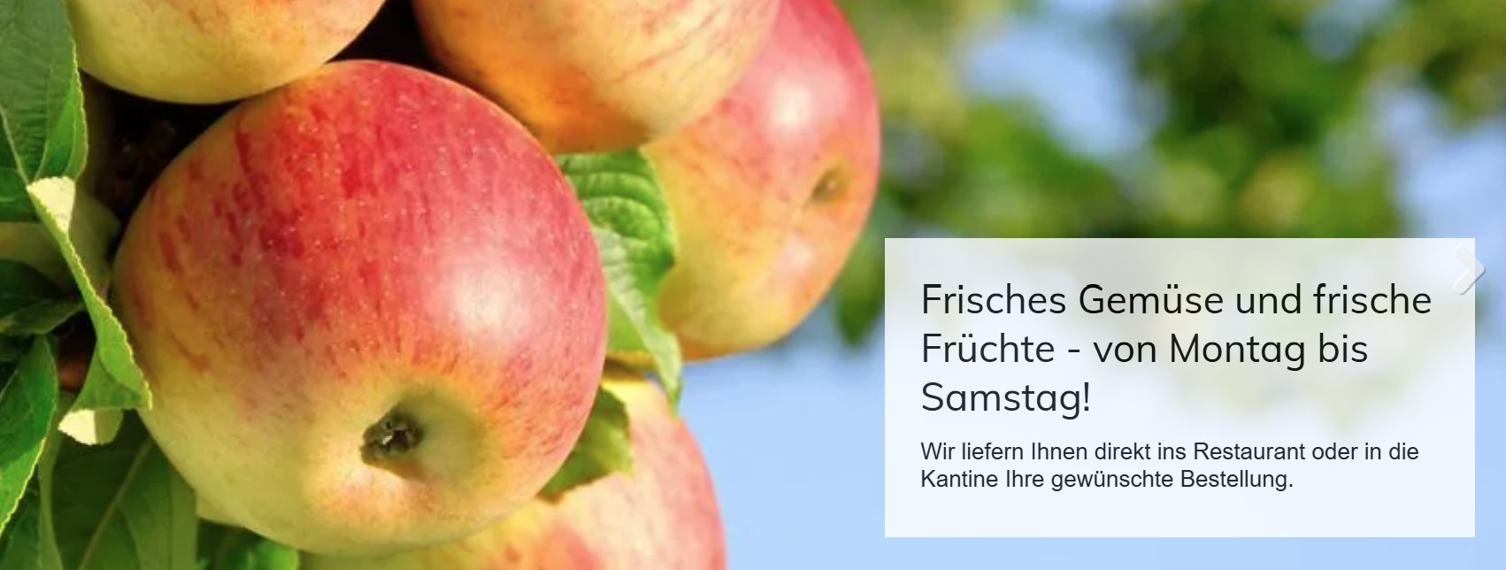 Baur Früchte & Gemüse GmbH