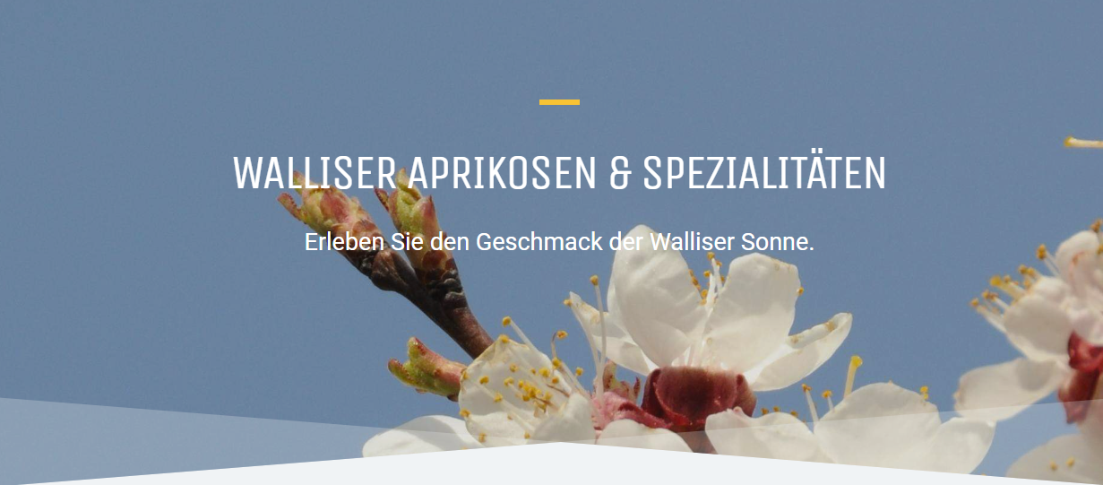 FUX WALLISER APRIKOSEN
