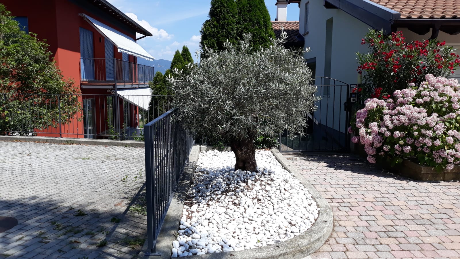 TICINO SPECIAL GARDEN SAGL – click to enlarge the panorama picture