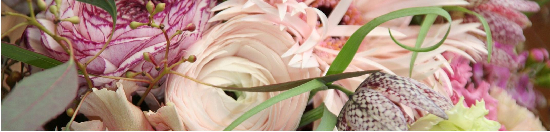 DOFLORES Annette Reich