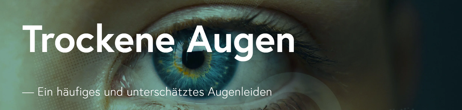 Kühnis Optik Rorschach AG