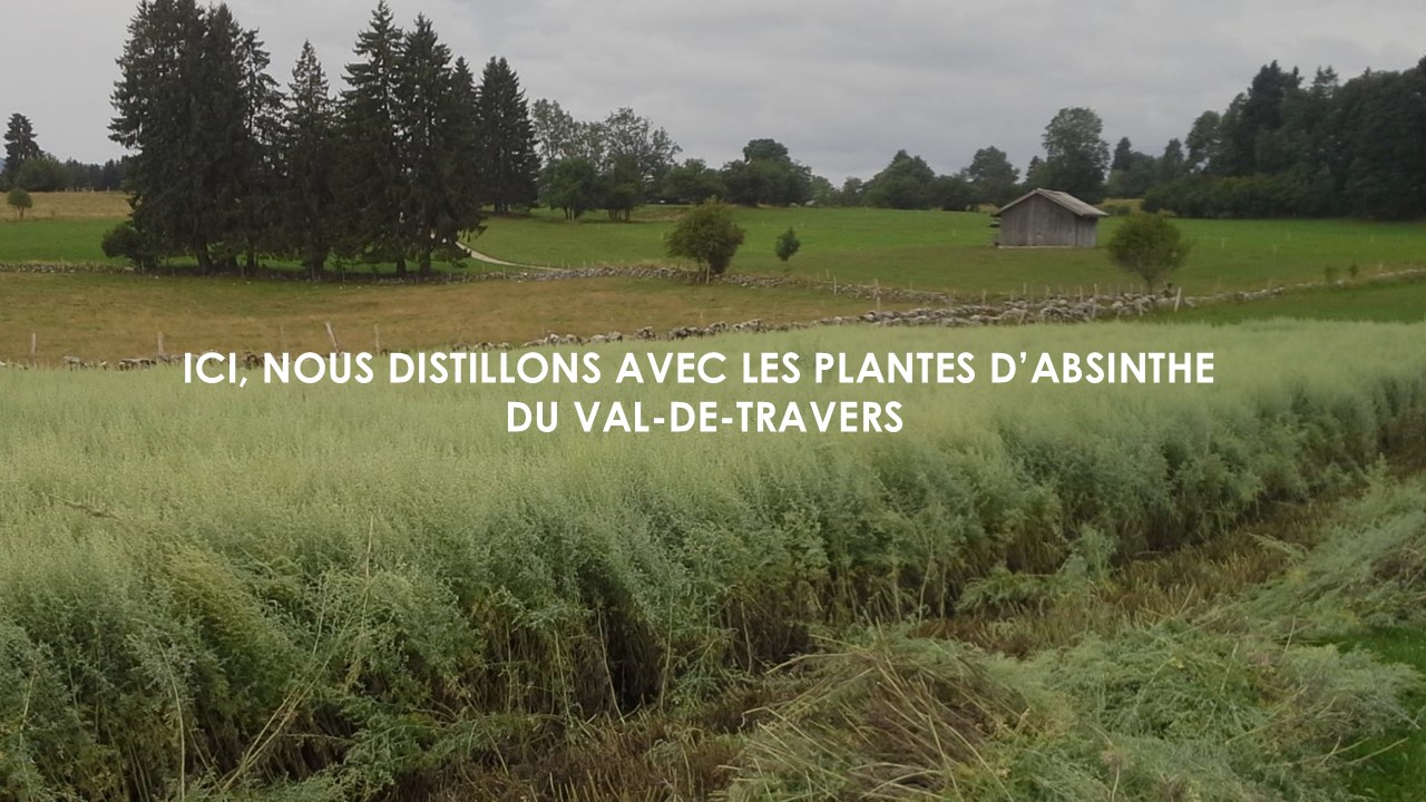 Artemisia Distillerie SA, Absinthe du Val-de-Travers
