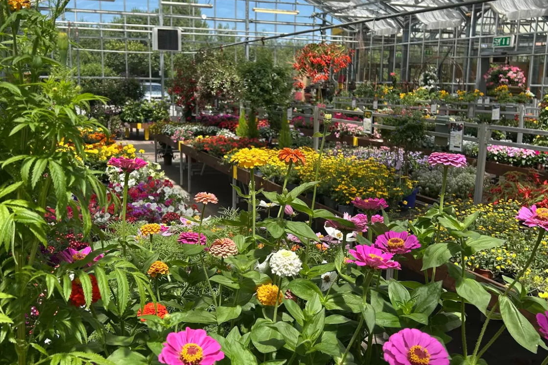 Garden Édelweiss Romont SA