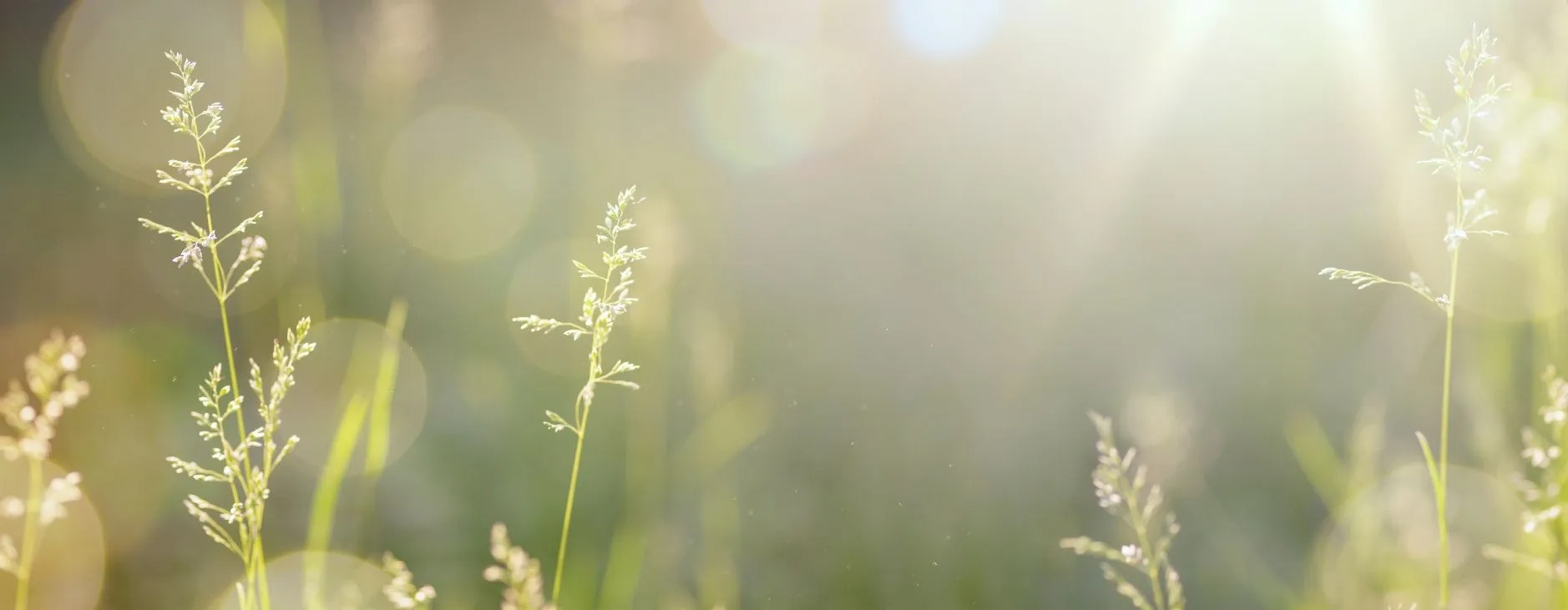 Jumbo`s Naturheilpraxis