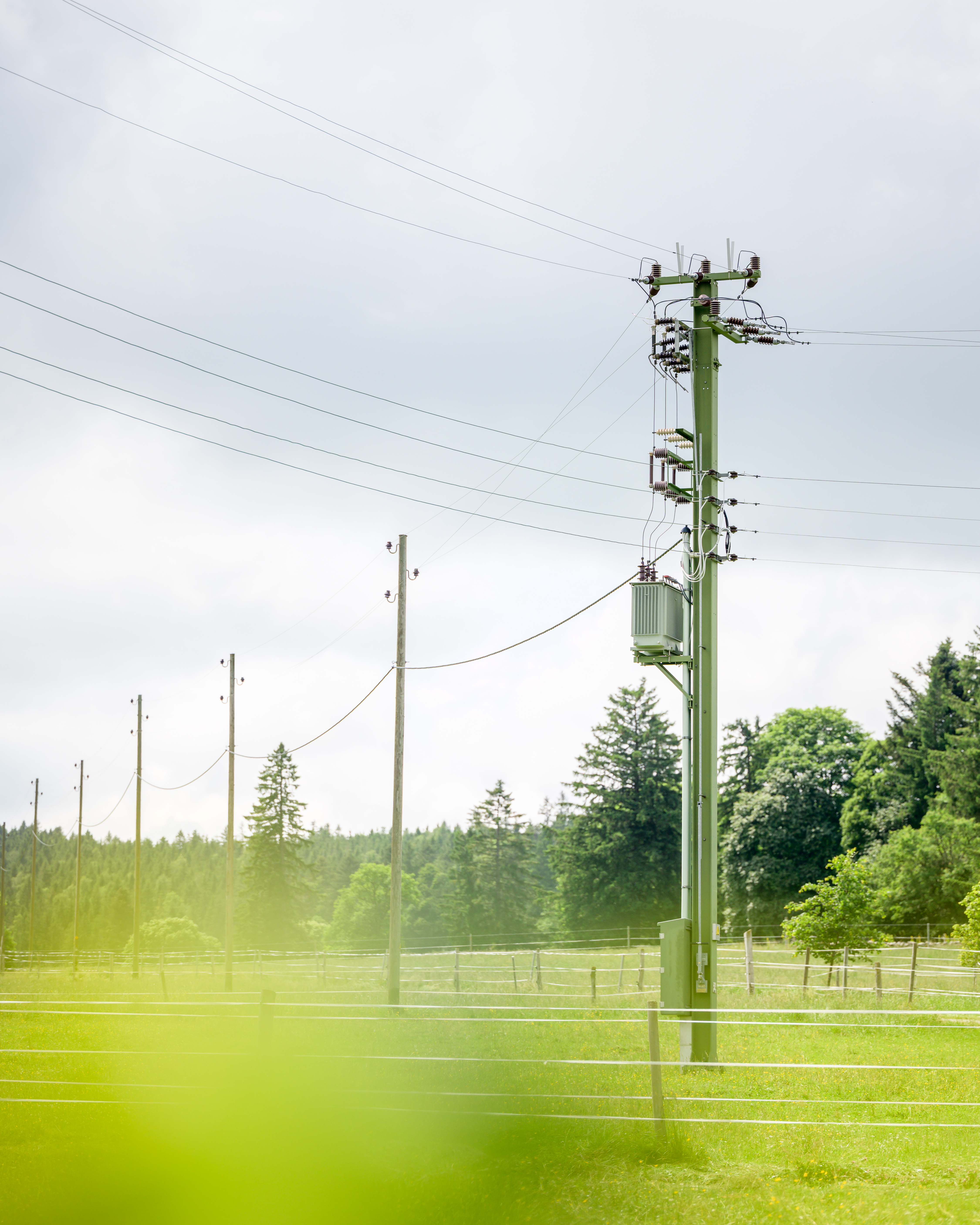 Société des Forces Electriques de La Goule