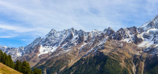 Hallenbarter Jürg