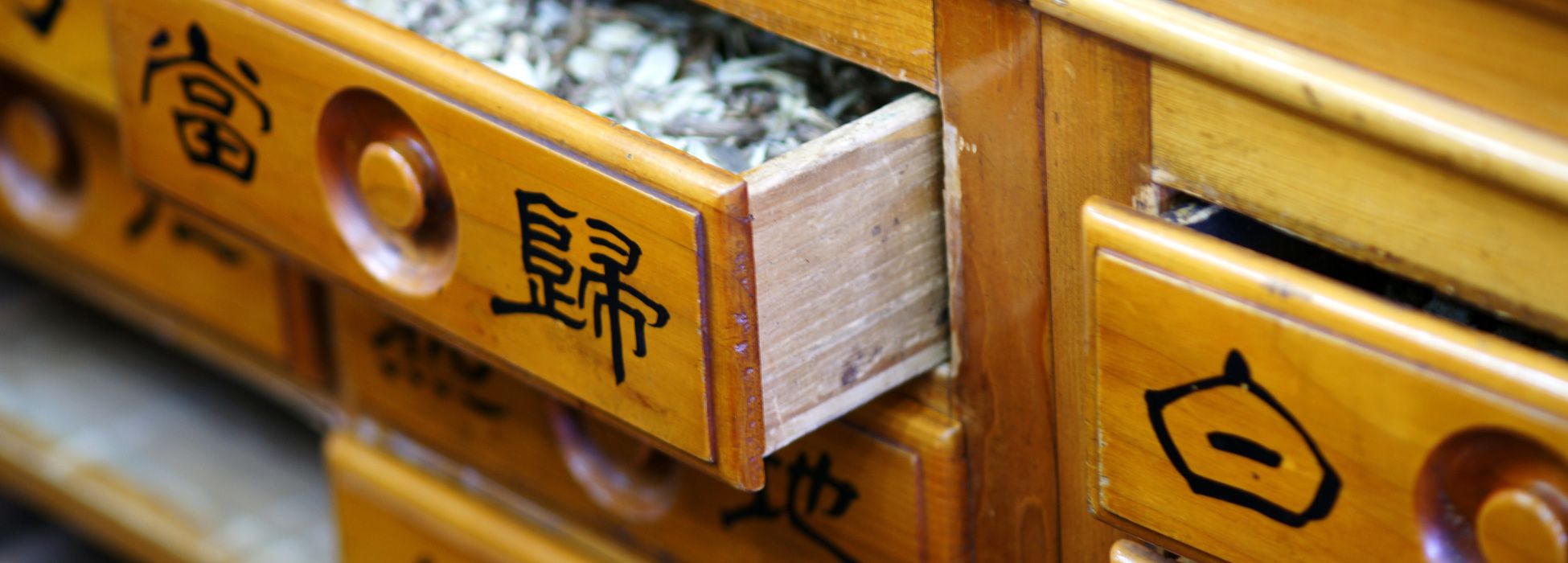 Wunder-Qi TCM Praxis