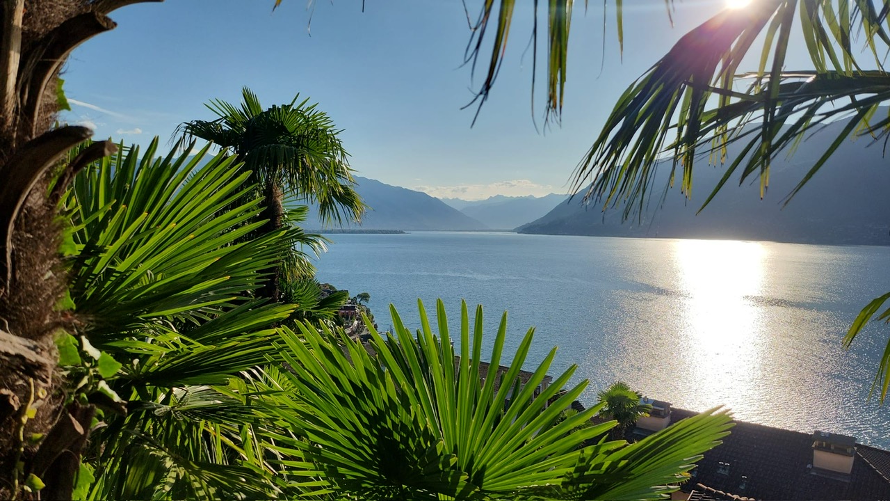 Rosengarten - Rachev