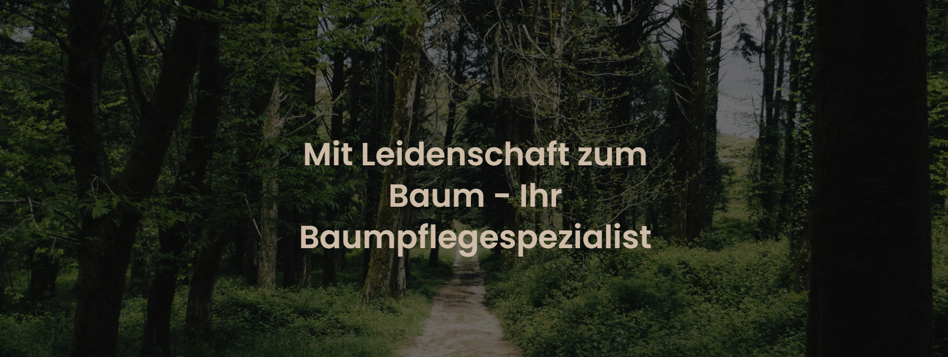 Quercus Baumpflege GmbH